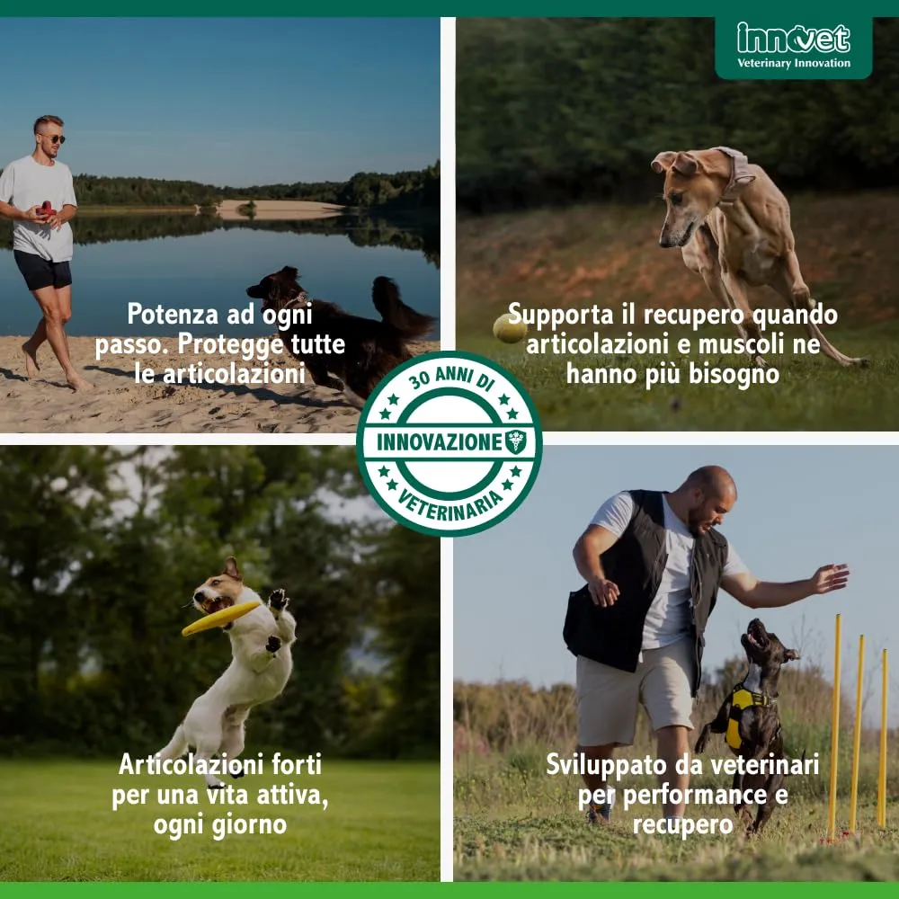 Innovet Condrogen Adult & Sport per cani, 30 bustine stick - immagine 8
