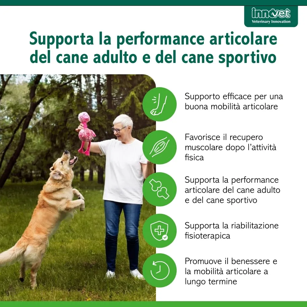 Innovet Condrogen Adult & Sport per cani – 60 bustine stick - immagine 2