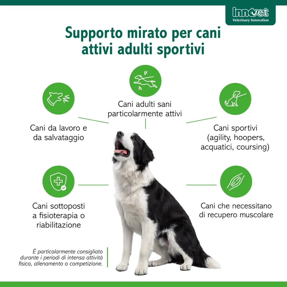 Innovet Condrogen Adult & Sport per cani – 60 bustine stick - immagine 4