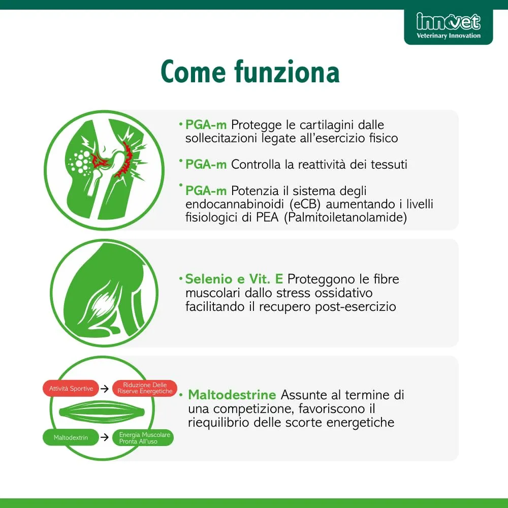 Innovet Condrogen Adult & Sport per cani – 60 bustine stick - immagine 7