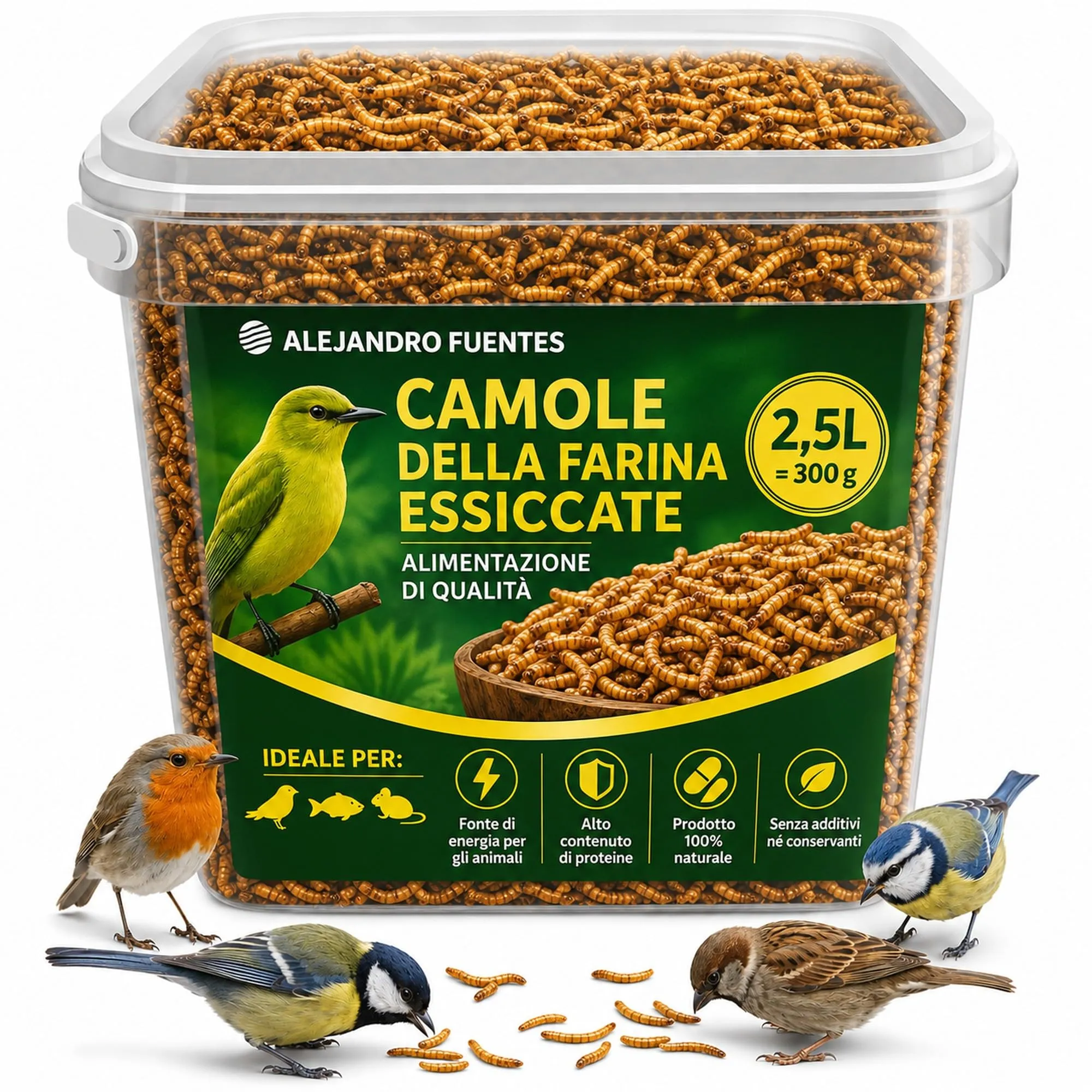ALEJANDRO FUENTES Camole della Farina Essiccate Tenebrio Molitor 300g - immagine 1