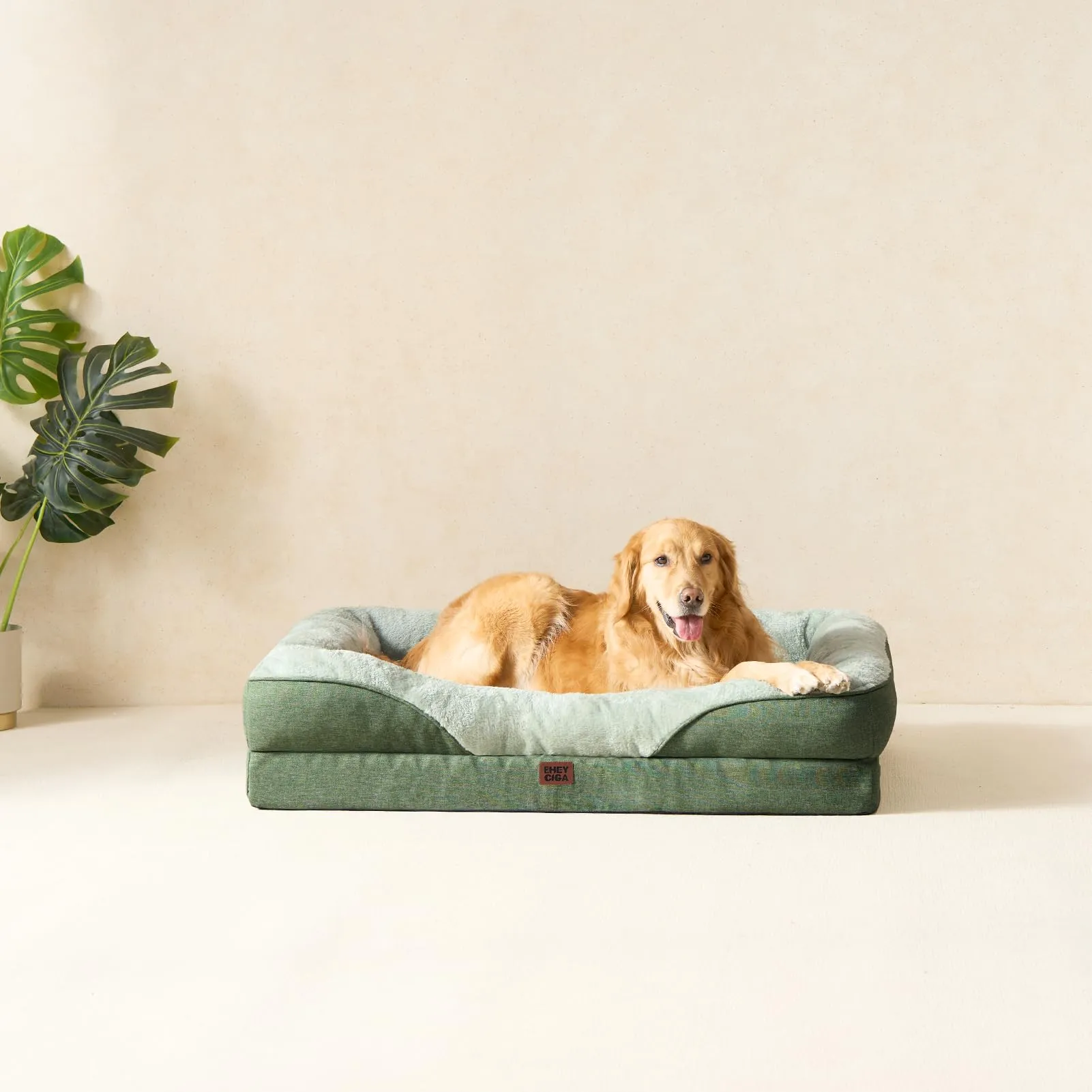 EHEYCIGA Cuccia Cane Interno Taglia Grande, 132x104x20.3cm, Verde - immagine 8