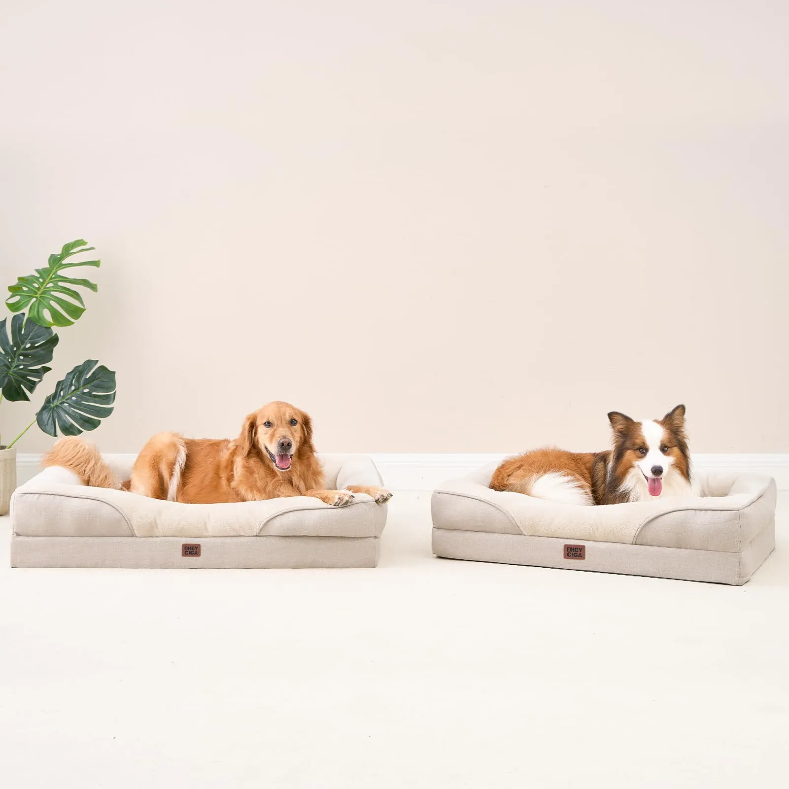 EHEYCIGA Cuccia Cane Interno, Memory Foam, Taglia Grande, 104x68.6x18.9cm, Beige - immagine 9