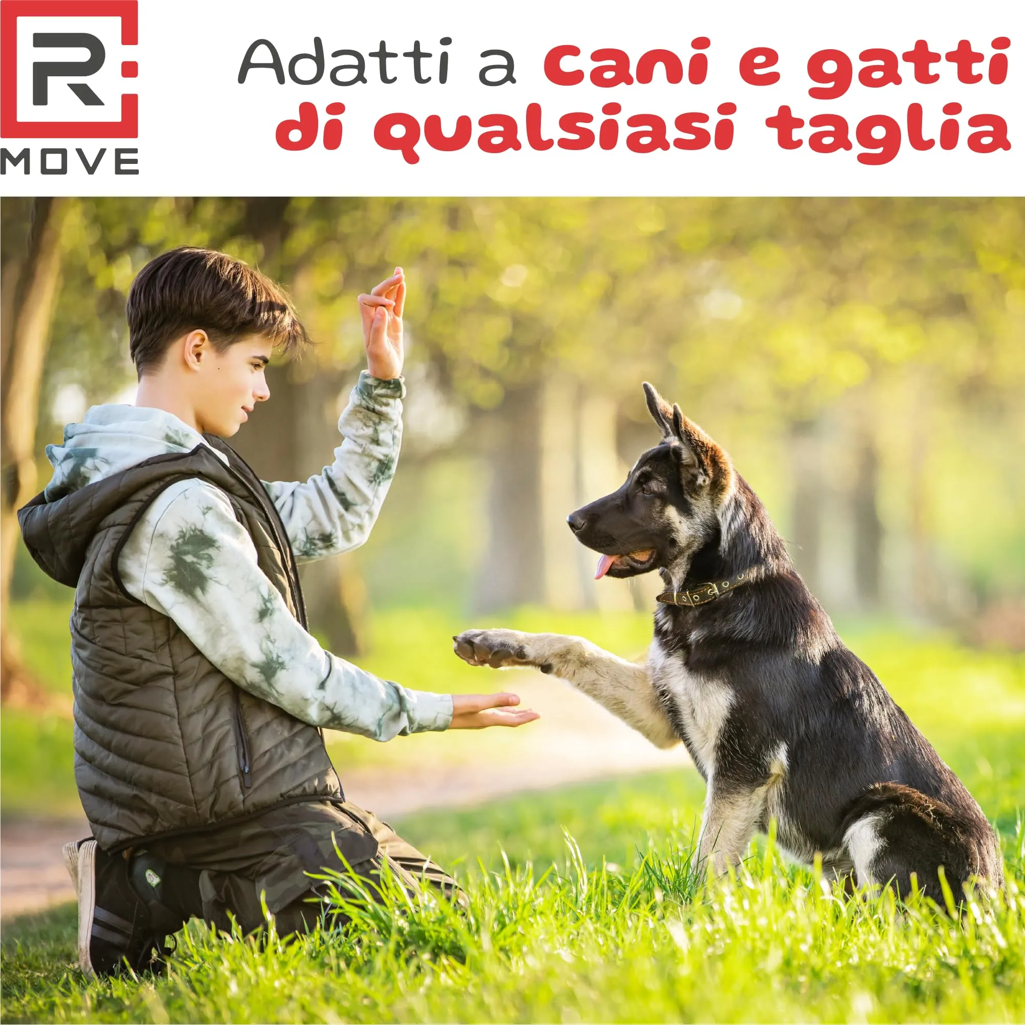 R MOVE Sacchetti Igienici per Cani, 810 pz (54 Rotoli), 30x23 cm, 2,5 Litri - immagine 7
