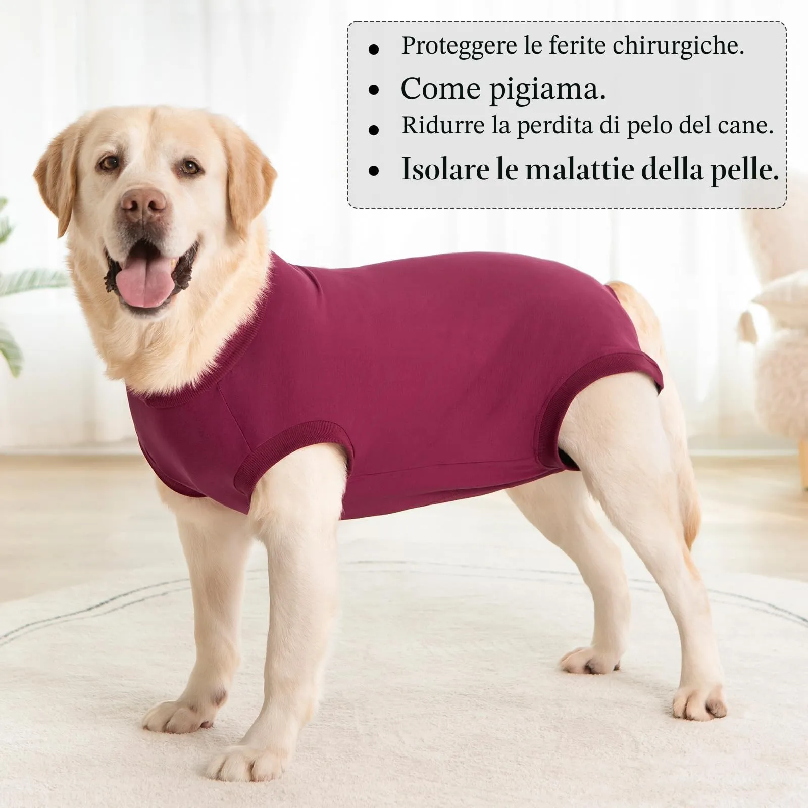 Cyponpy Body Post Operatorio per Cani Maschi e Femmine, Tuta da Recupero dopo Sterilizzazione, Taglia L, Rosso - immagine 7