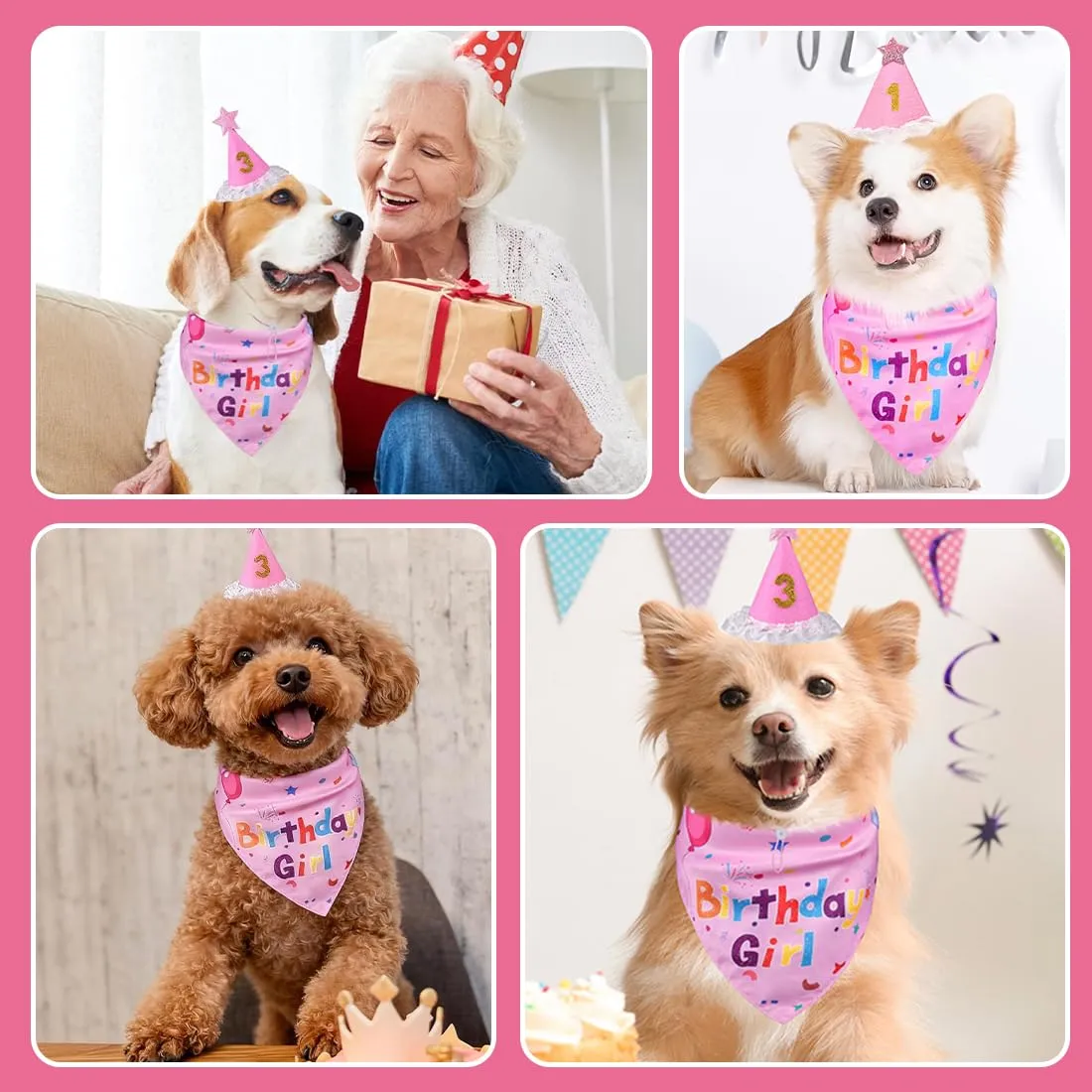 OIXEYA Set Compleanno per Cani con Bandana, Cappello e Adesivi Numerici, Rosa, Taglia L - immagine 5