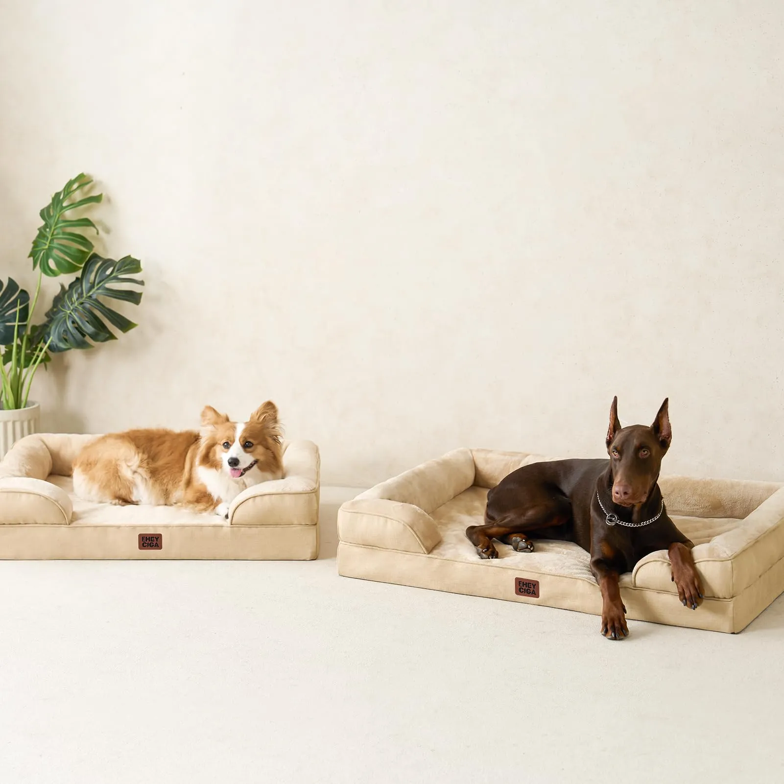 EHEYCIGA Divano per cani, marrone chiaro, LP (104 x 68 x 16 cm) - immagine 8