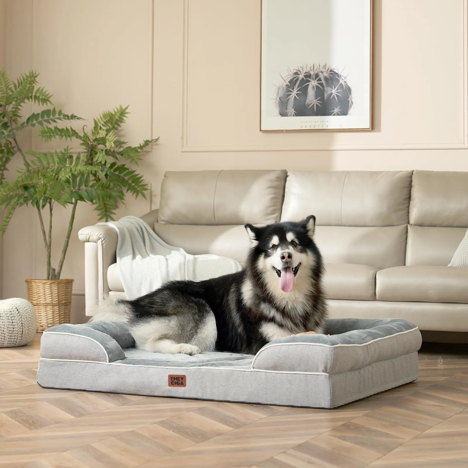 EHEYCIGA Cuccia Cane Interno Taglia XL, 122x89x20cm, Grigio - immagine 8