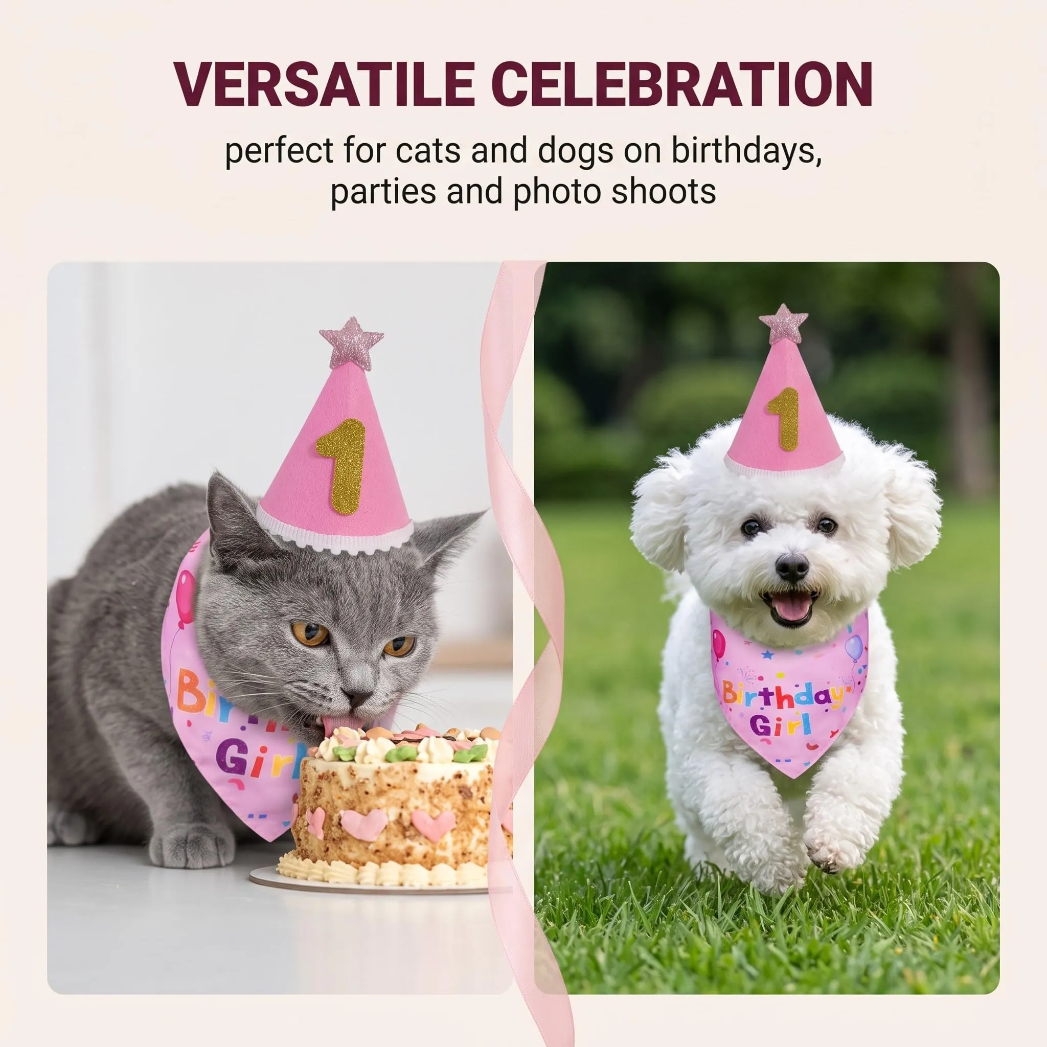 OIXEYA Set Compleanno Cane e Gatto con Bandana Rosa e Cappello, Taglia M - immagine 4