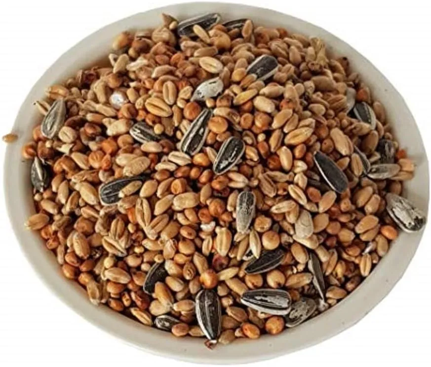 Aimé Nature Mix+ Mélange de graines pour oiseaux de la nature, 1kg - immagine 3