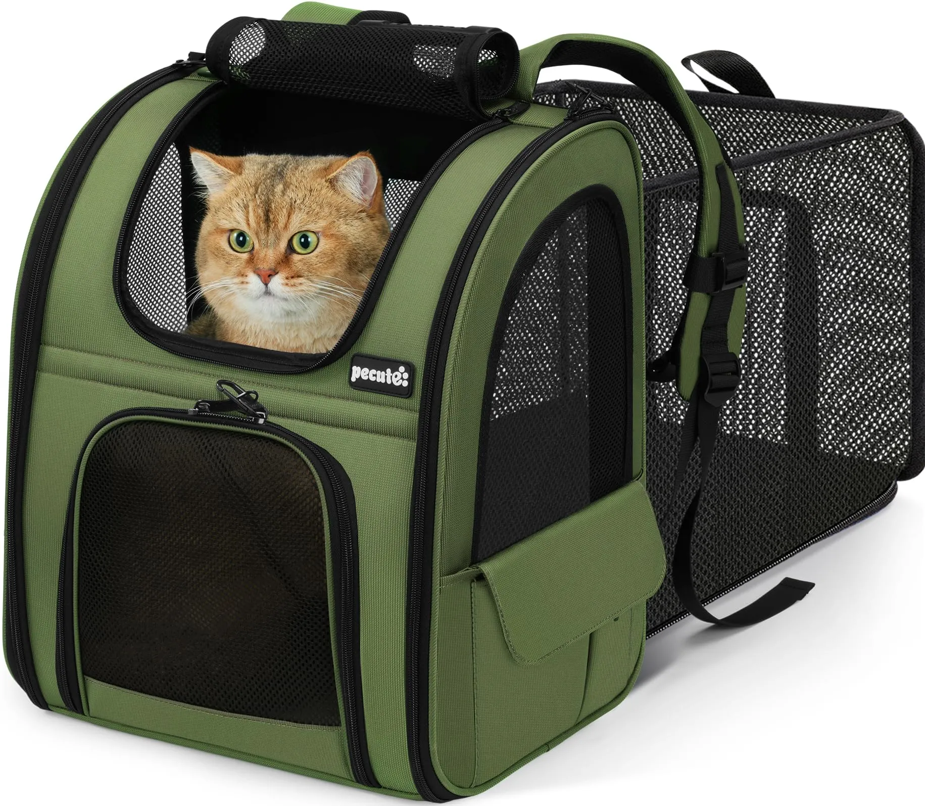 Pecute Zaino per Cani e Gatti Estensibile, Trasportino Portatile, Verde - immagine 1