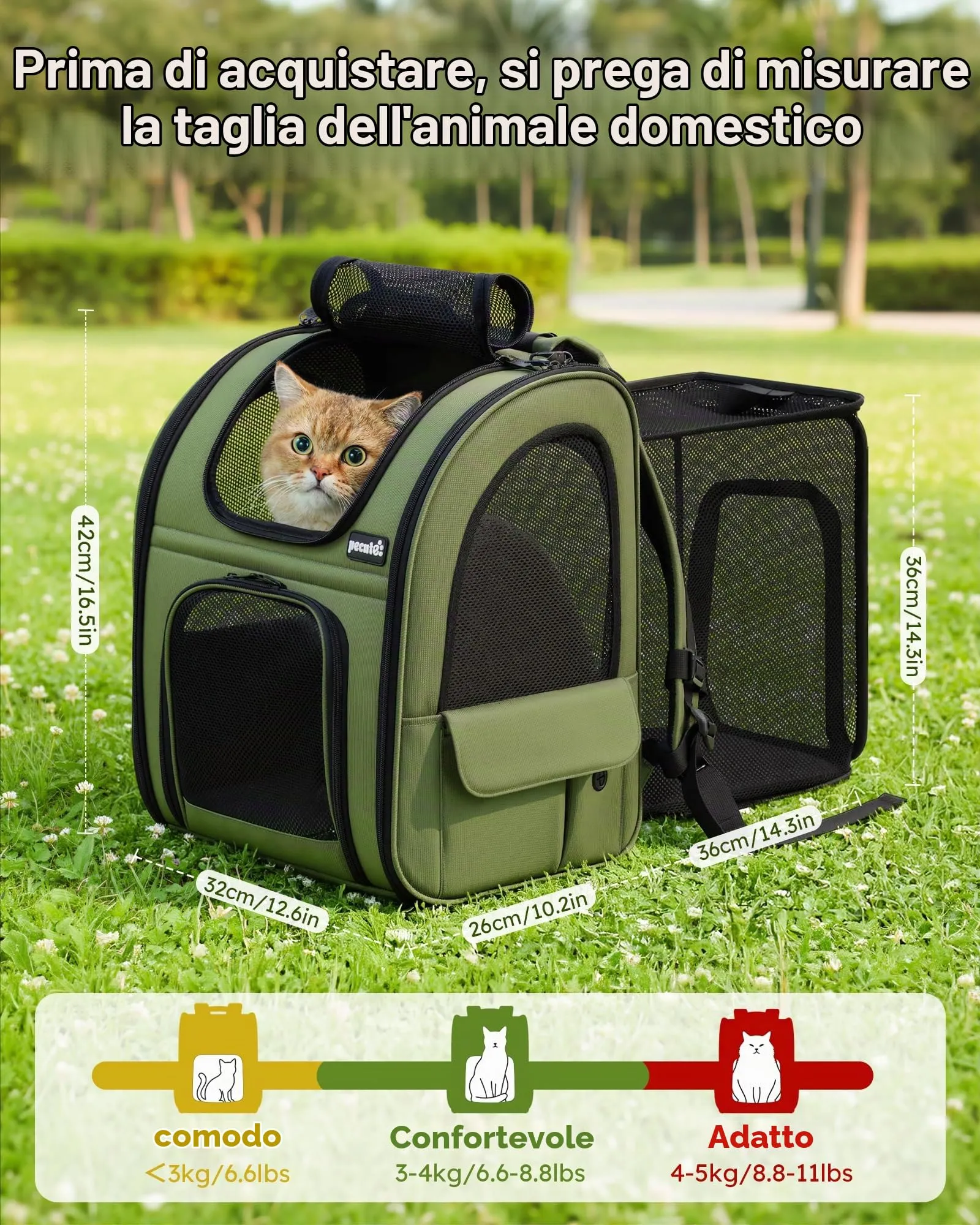Pecute Zaino per Cani e Gatti Estensibile, Trasportino Portatile, Verde - immagine 2