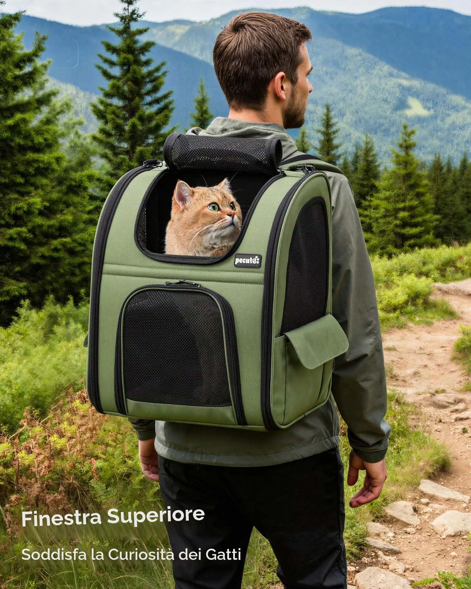 Pecute Zaino per Cani e Gatti Estensibile, Trasportino Portatile, Verde - immagine 3