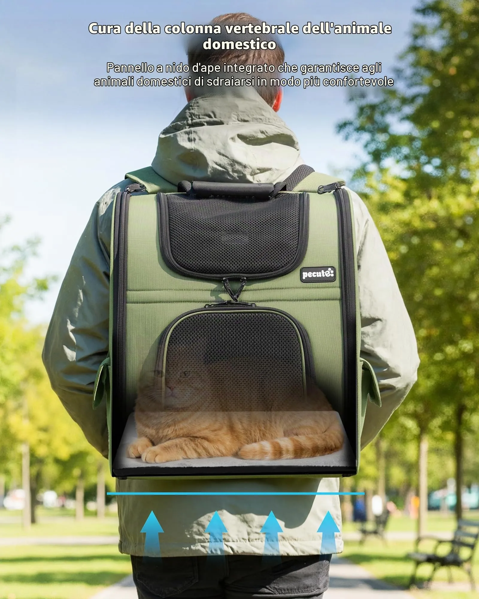 Pecute Zaino per Cani e Gatti Estensibile, Trasportino Portatile, Verde - immagine 8