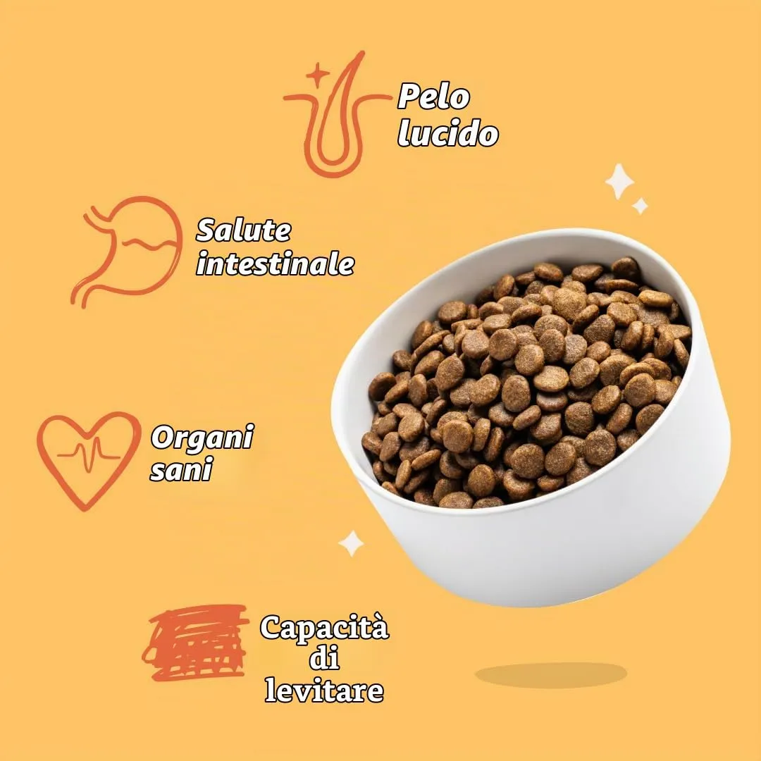 Edgard & Cooper Crocchette Cani Adulti Taglia Piccola Senza Cereali al Pollo Fresco, Mela, Patata Dolce, Cavolo Riccio e Mirtillo, 3kg - immagine 6