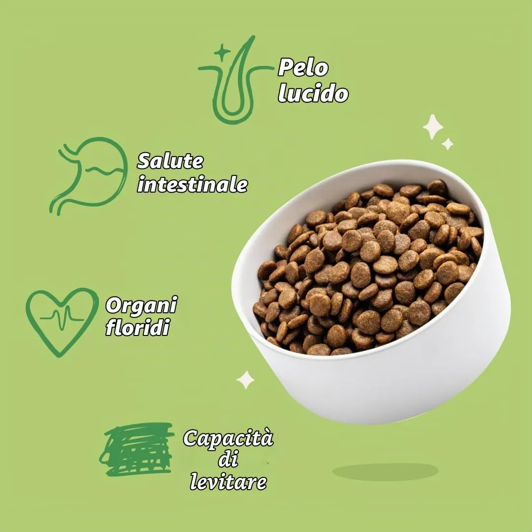 Edgard & Cooper Crocchette Cani Adulti Piccola Taglia, Agnello Fresco, Senza Cereali, Ipoallergenica, 3kg - immagine 6