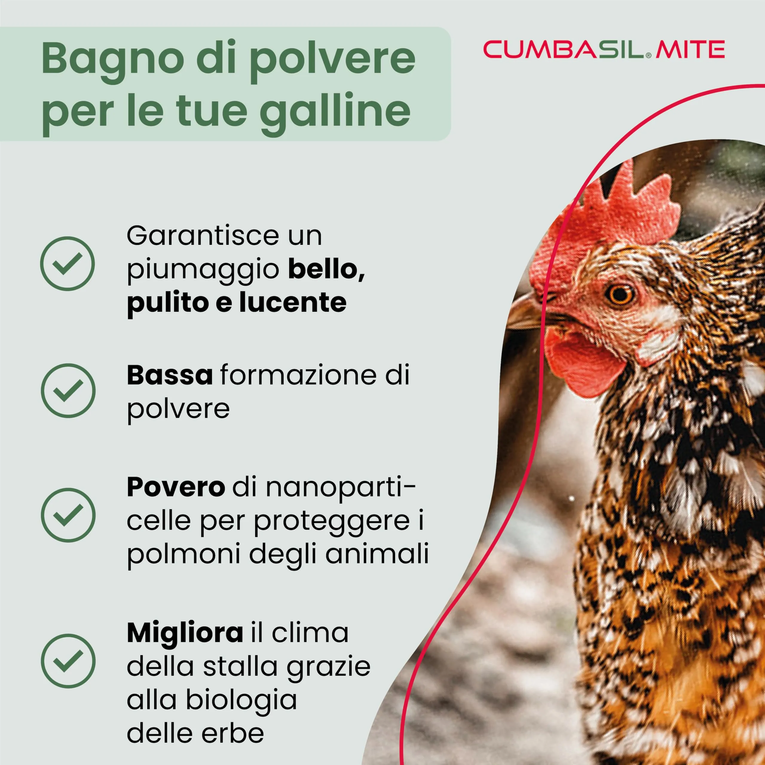 Cumbasil Bagno di polvere antiacaro per polli, 25 kg - immagine 2