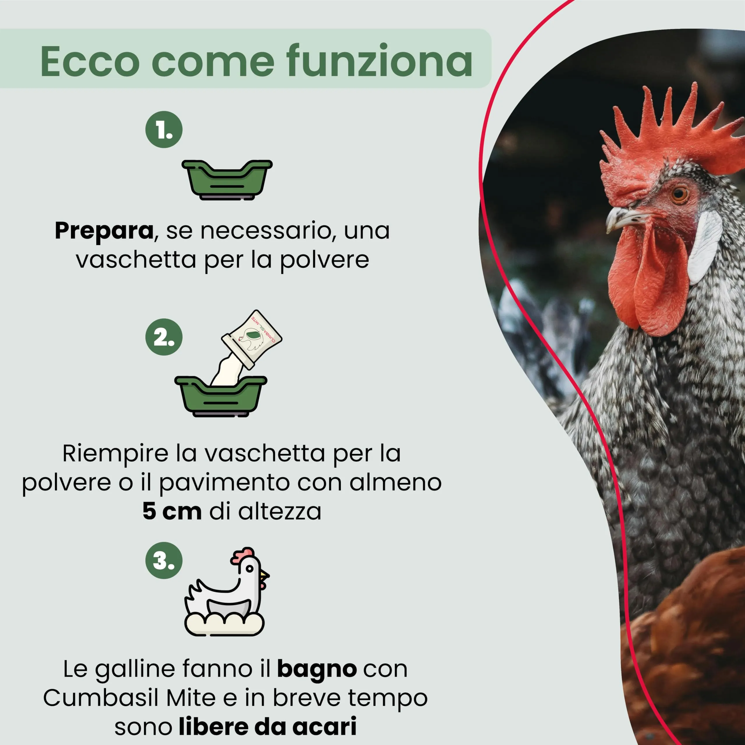 Cumbasil Bagno di polvere antiacaro per polli, 25 kg - immagine 4