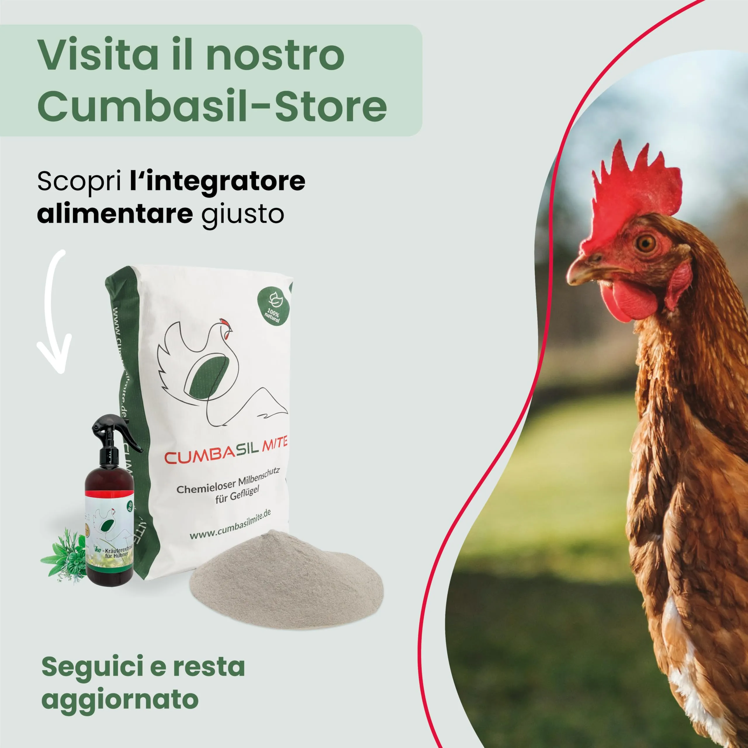 Cumbasil Bagno di polvere antiacaro per polli, 25 kg - immagine 6
