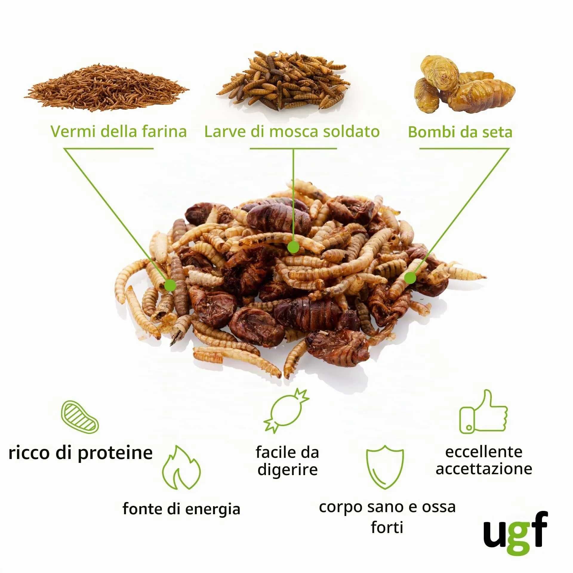 UGF Underground Food Mix di insetti (vermi della farina, larve di mosca soldato nera, bachi da seta), 80 g, secchio da 500 ml - immagine 3