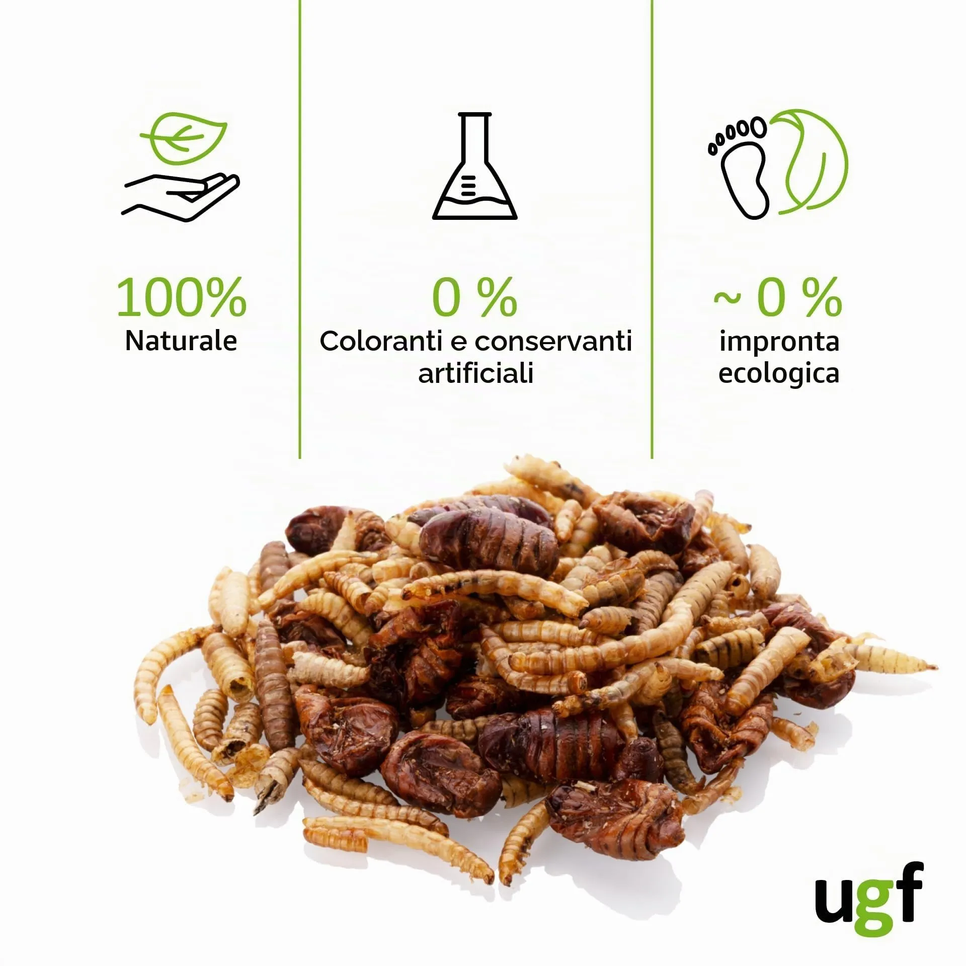 UGF Underground Food Mix di insetti (vermi della farina, larve di mosca soldato nera, bachi da seta), 80 g, secchio da 500 ml - immagine 4