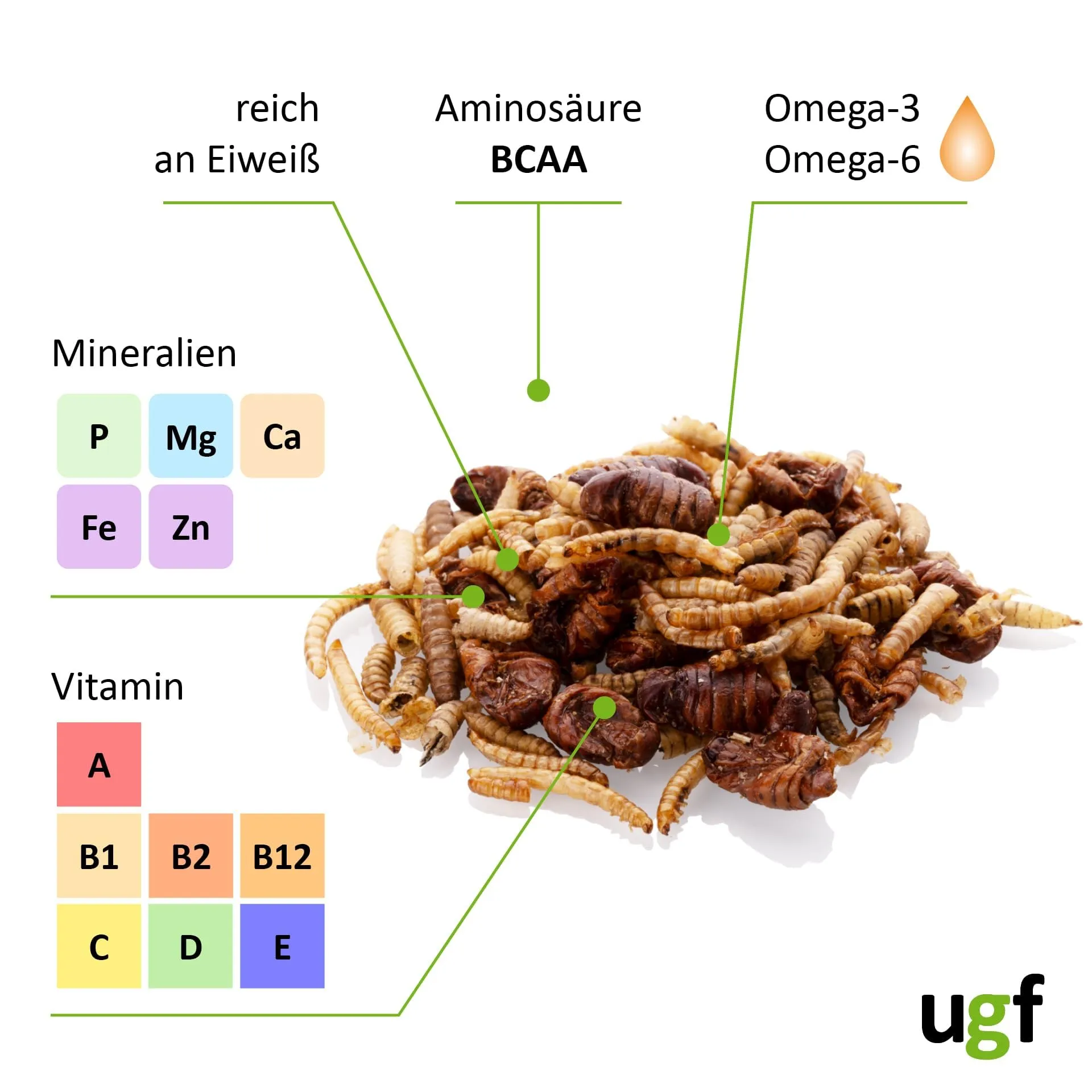 UGF Underground Food Mix di insetti (vermi della farina, larve di mosca soldato nera, bachi da seta), 80 g, secchio da 500 ml - immagine 5