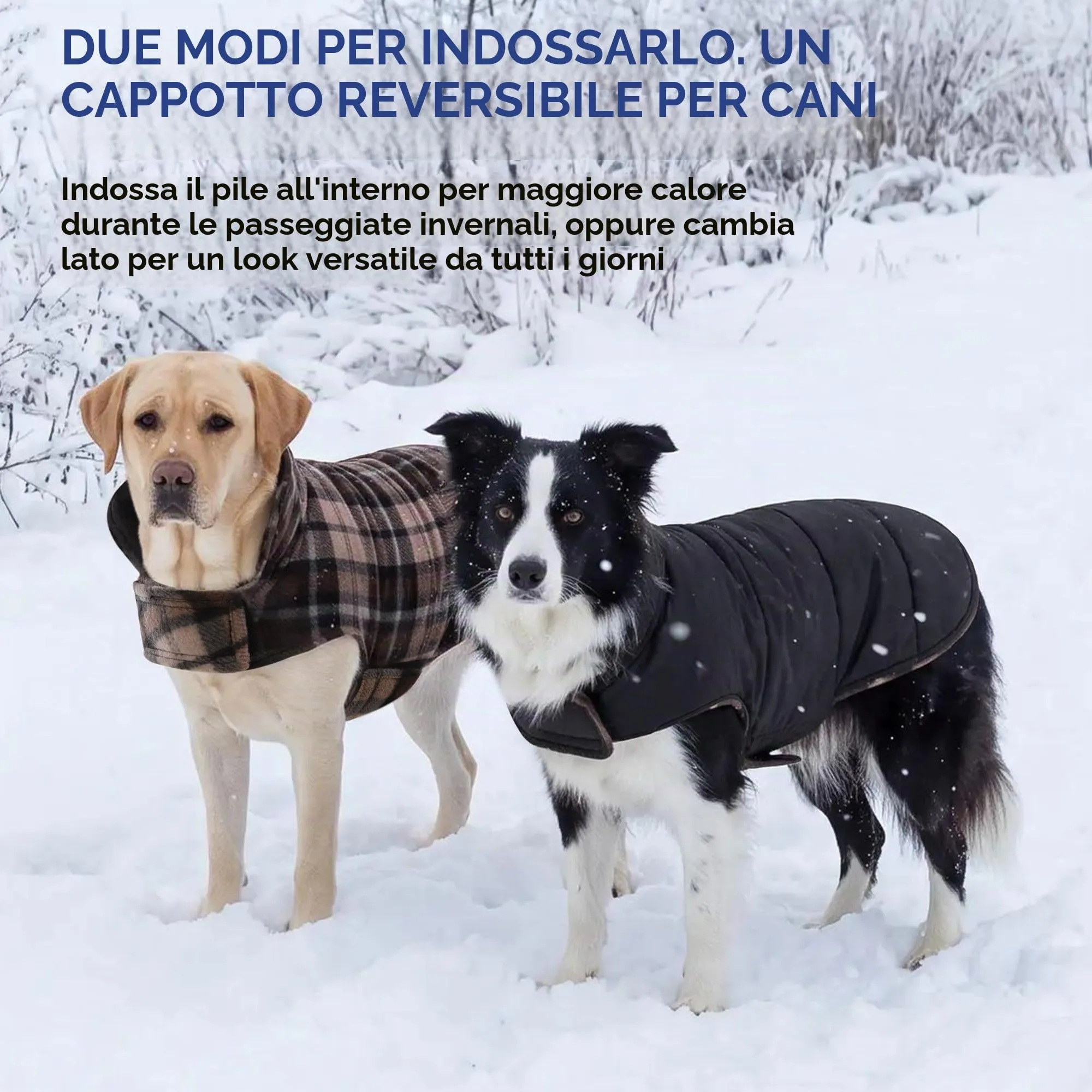 ASENKU Cappotto per Cane Impermeabile e Reversibile, Giacca Invernale Antivento con Fodera in Lana, Taglia XS - immagine 8