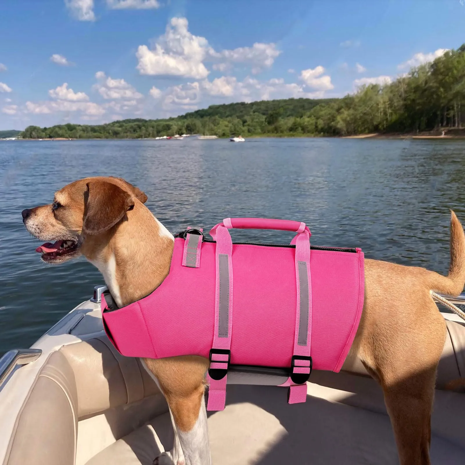 PUZAUKAL Giubbotto Salvagente per Cane con Ripstop e Cerniera sul Dorso - immagine 7