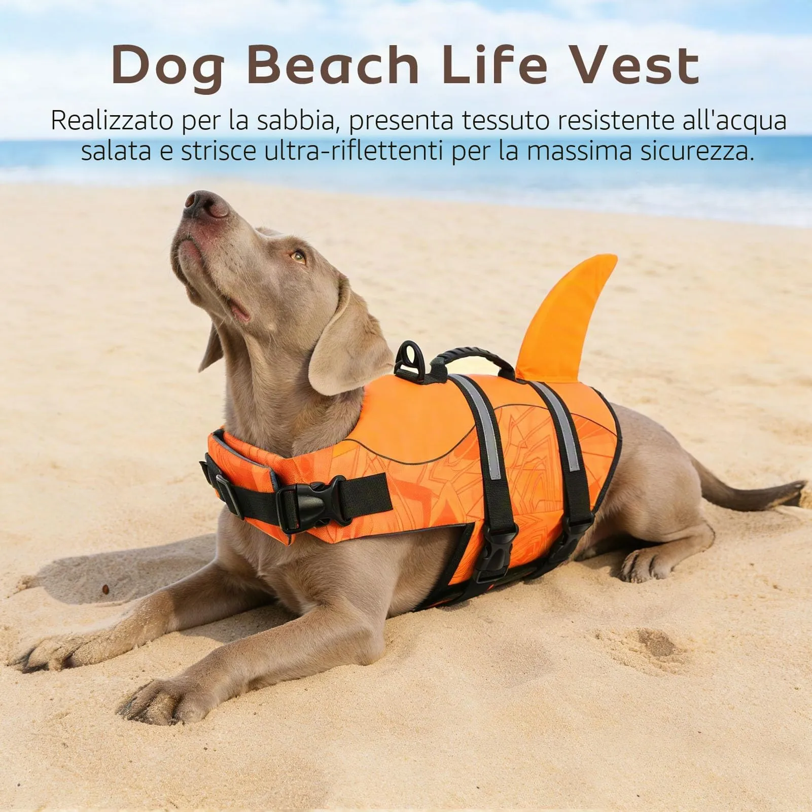 CITÉTOILE Salvagente per Cane, Ripstop Regolabile, Griglia, XXL - immagine 5