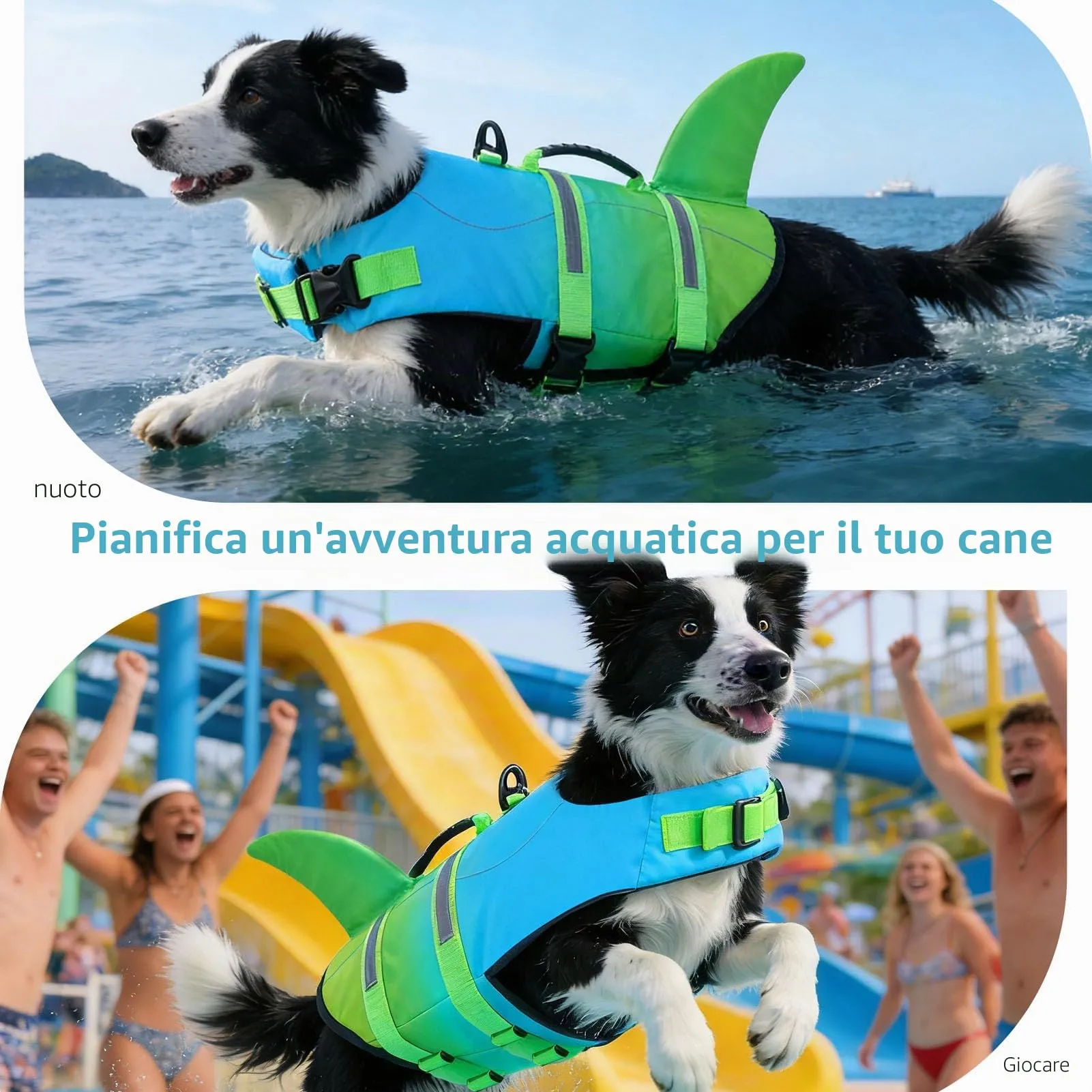 CITÉTOILE Salvagente per Cane in Ripstop Regolabile, Blu Verde, XS - immagine 6