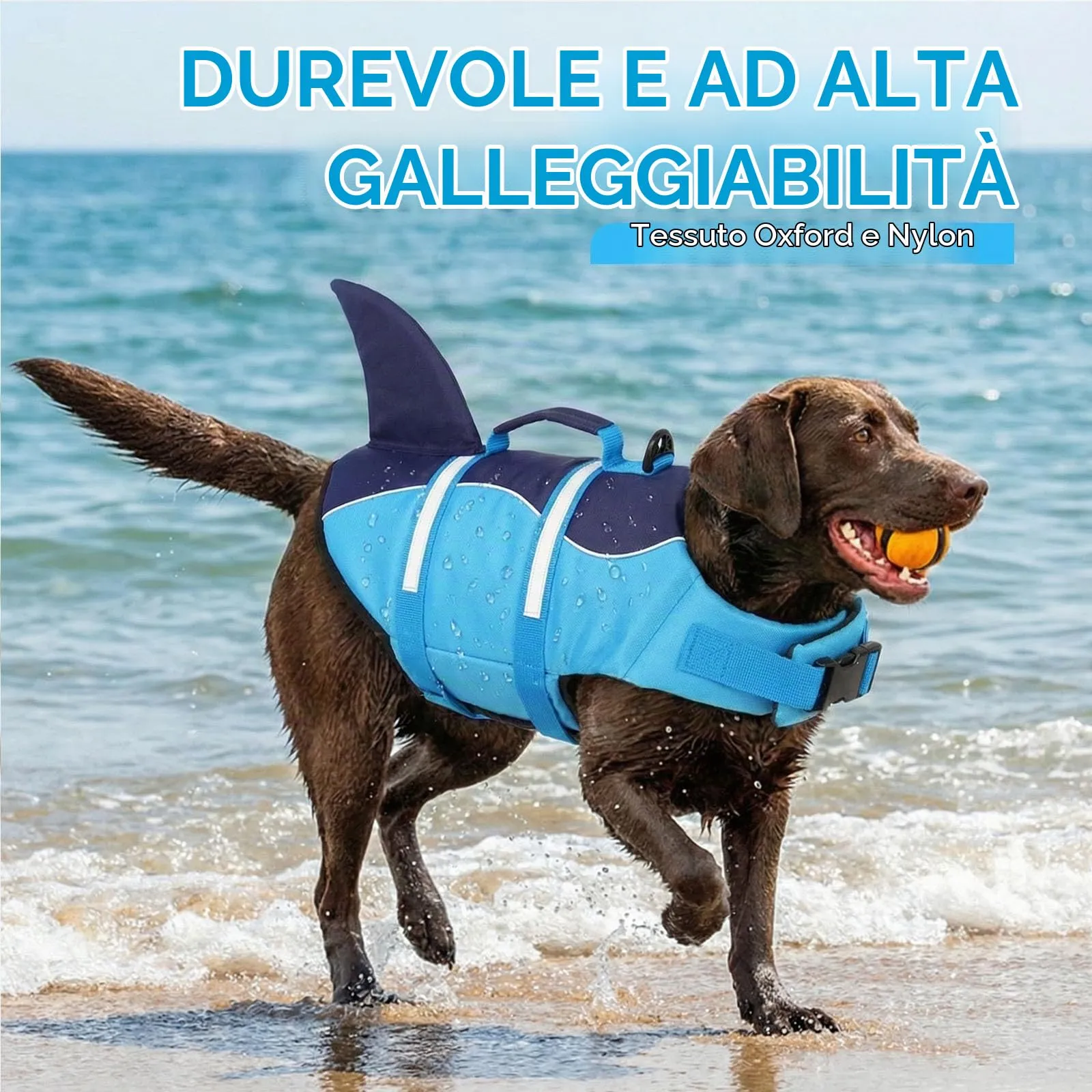 AOFITEE Giubbotto Salvagente per Cani con Pinna di Squalo e Impugnatura di Soccorso, Taglia L, Blu - immagine 2