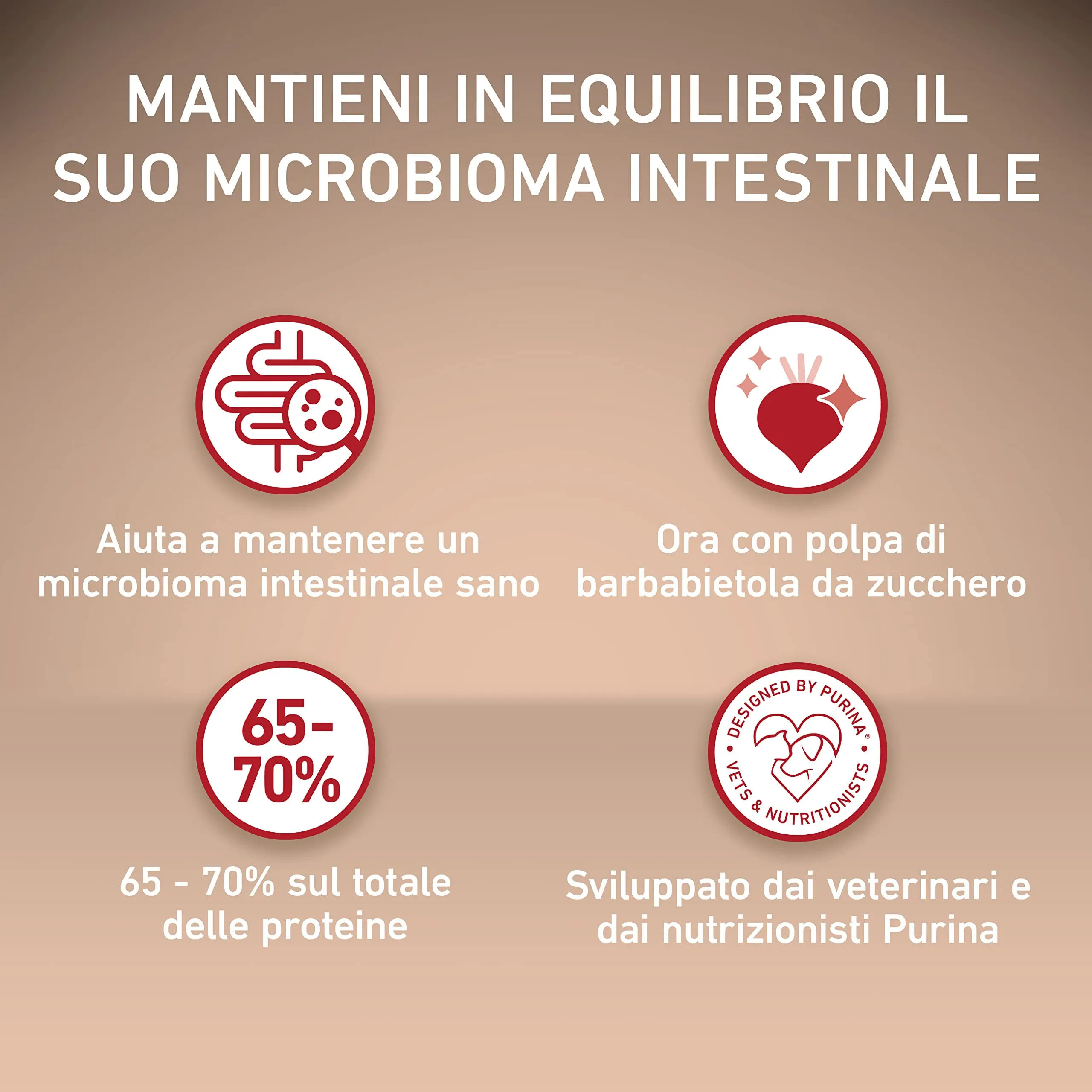 Purina One Mini Small Dental per Cani Adulti Pollo e Riso, 8 x 800g - immagine 5