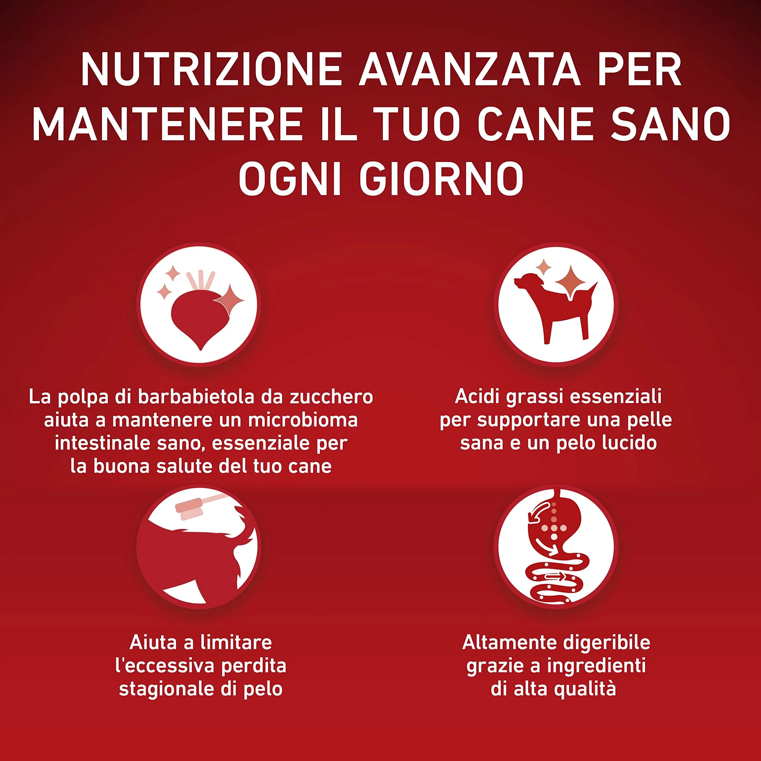 Purina One Mini Crocchette per Cani Adulti Manzo e Riso, 6 x 1.5kg - immagine 2
