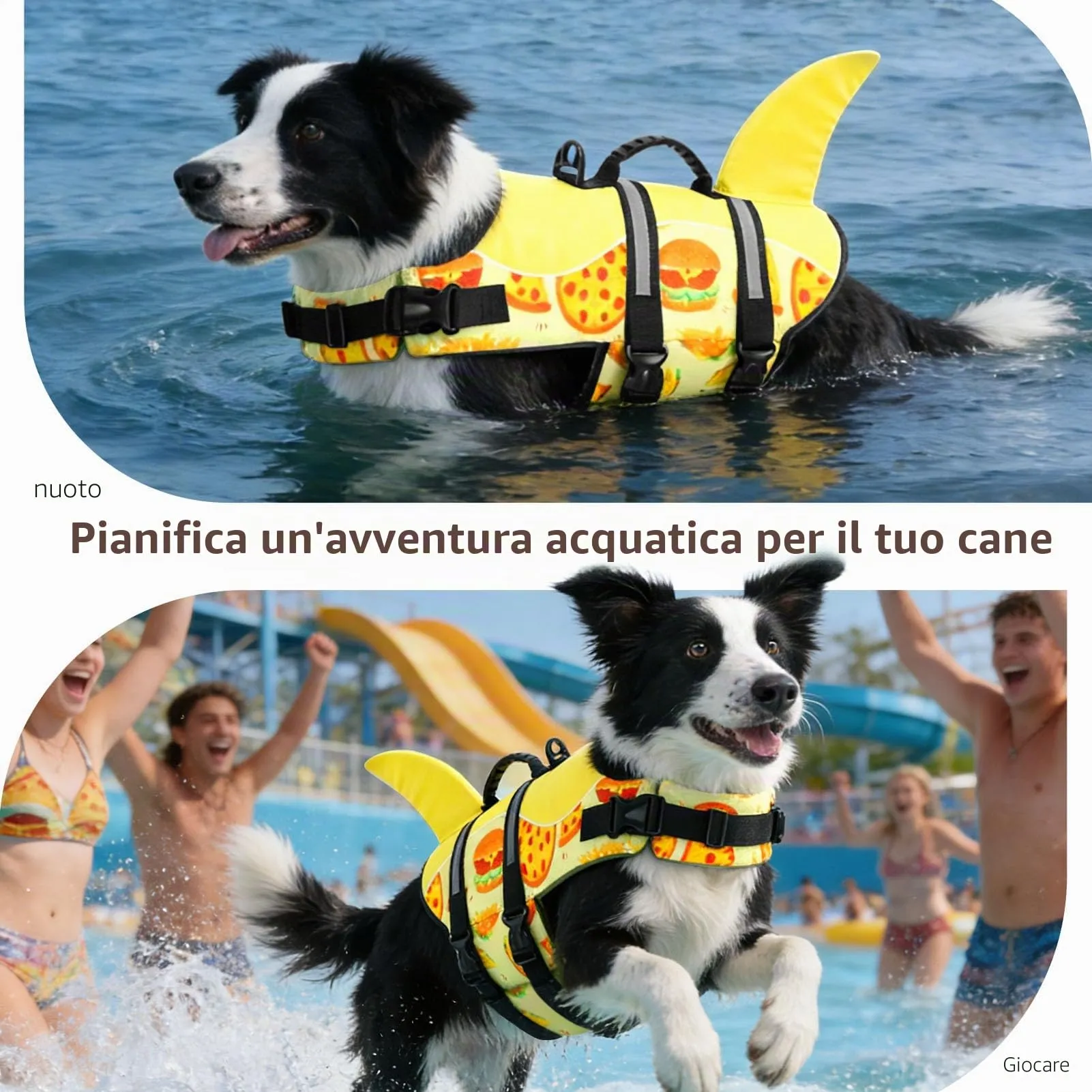 CITÉTOILE Giubbotto Salvagente per Cane Ripstop, Hamburger, S - immagine 6