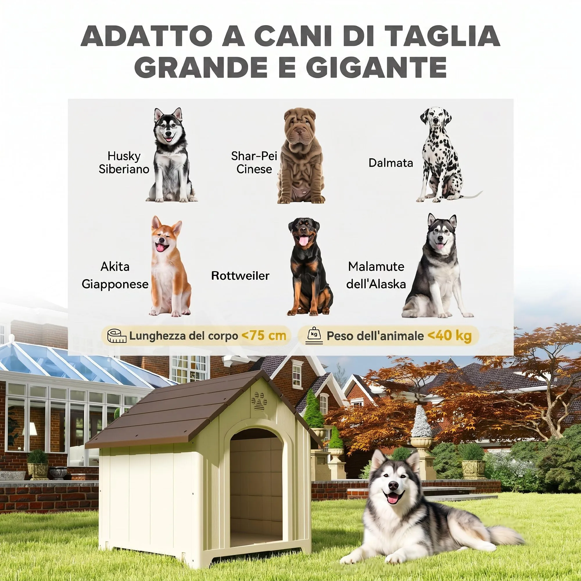 PawHut Cuccia per Cani da Esterno, Taglia Grande e XL, 102x94x103 cm, Beige - immagine 4