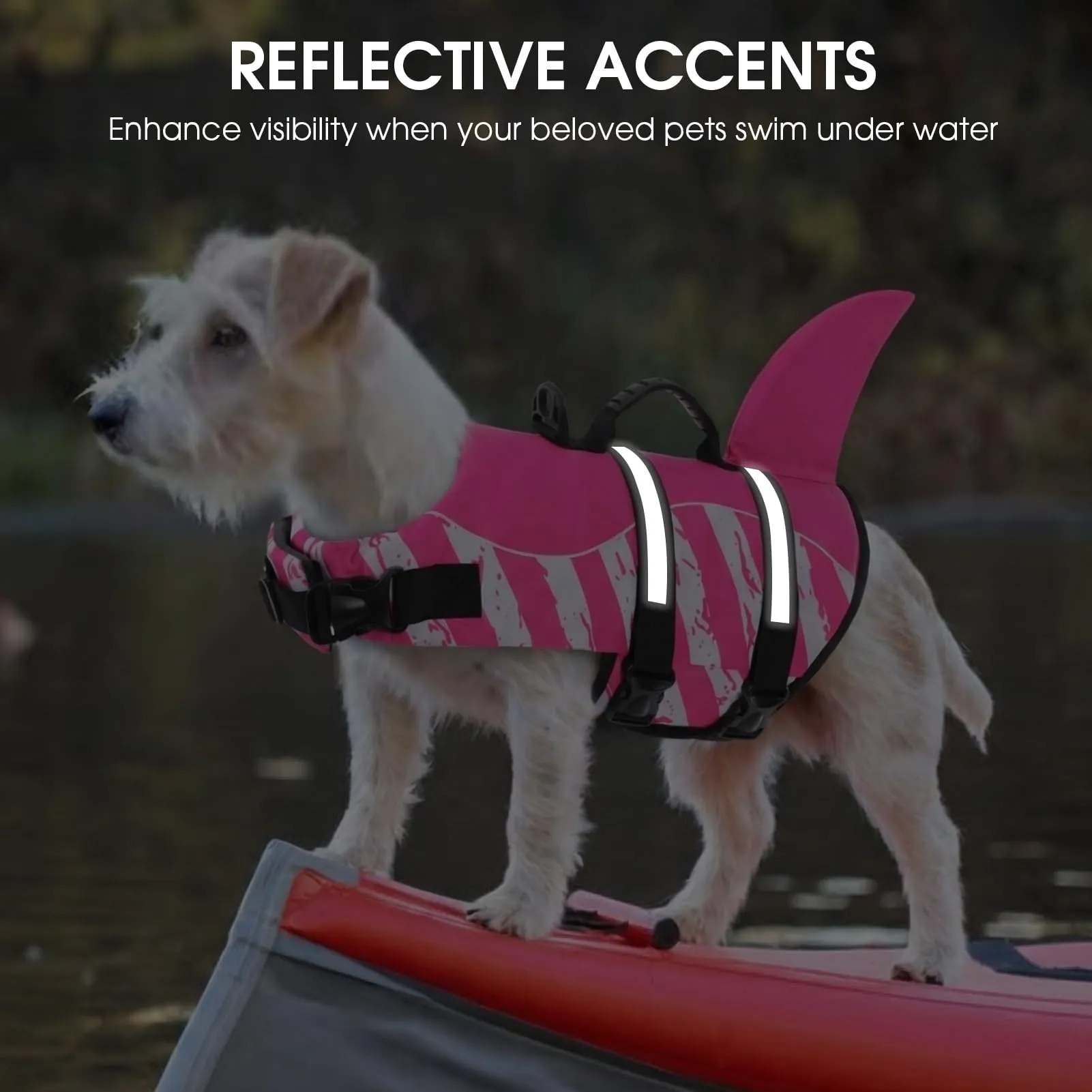 Queenmore Salvagente Cane Regolabile, Pinkwhite, XXL - immagine 7
