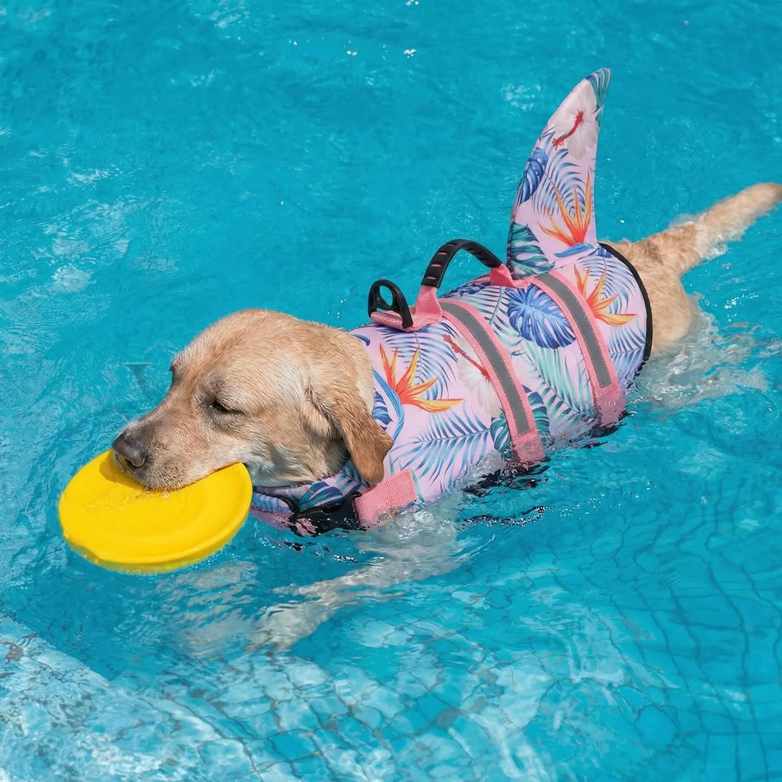Queenmore Giubbotto Salvagente per Cani, Ripstop, HawaiiPink, L - immagine 3