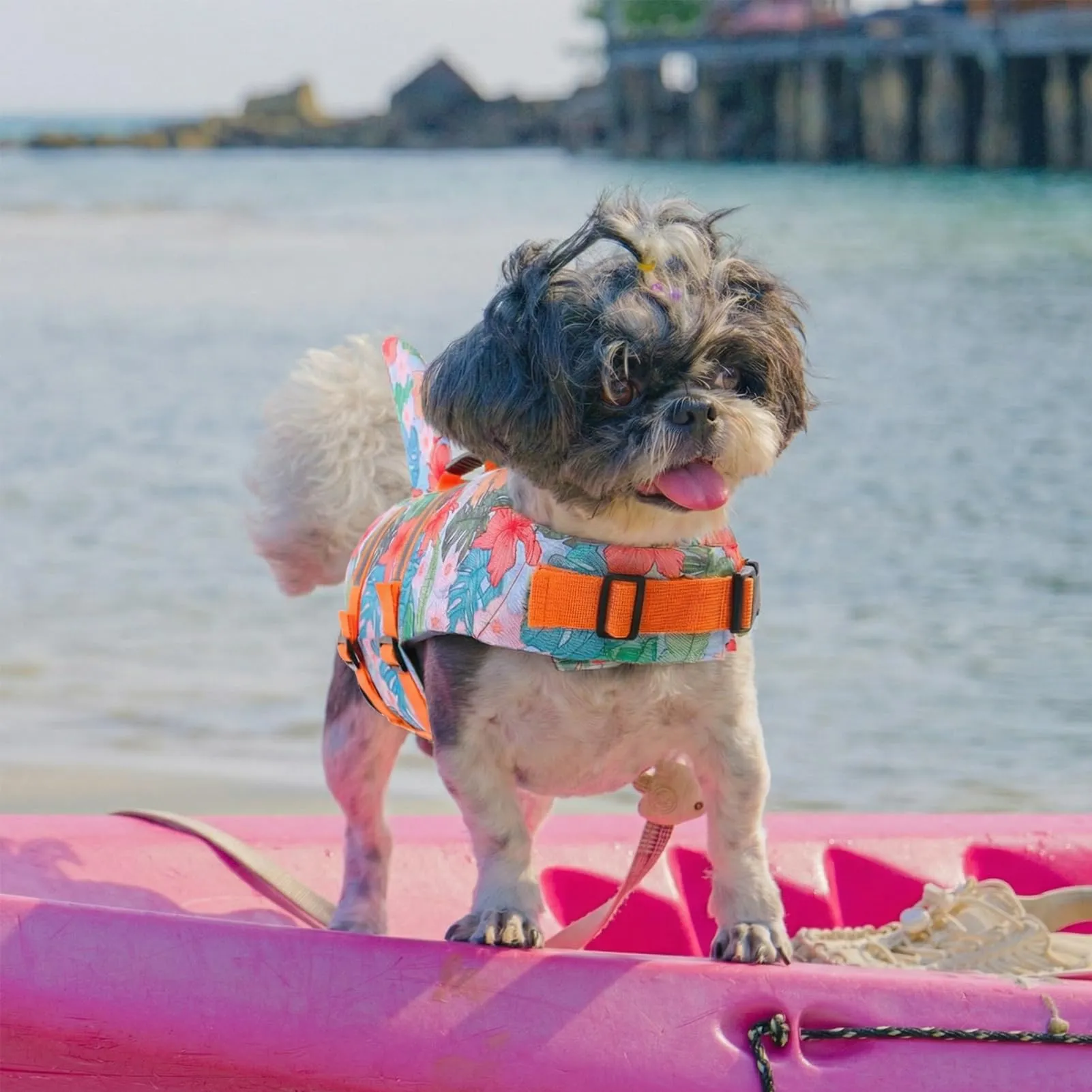 Queenmore Salvagente per Cane Regolabile, HawaiiOrange, XXL - immagine 3