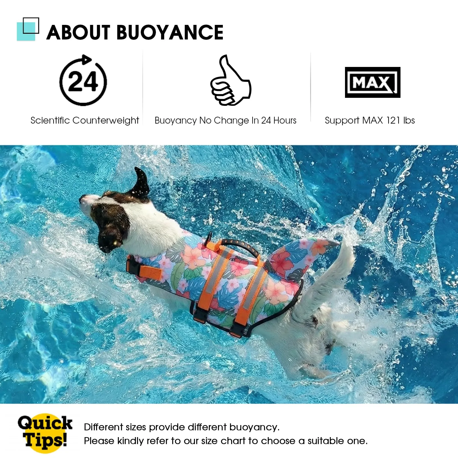 Queenmore Salvagente per Cane Regolabile, HawaiiOrange, XXL - immagine 6
