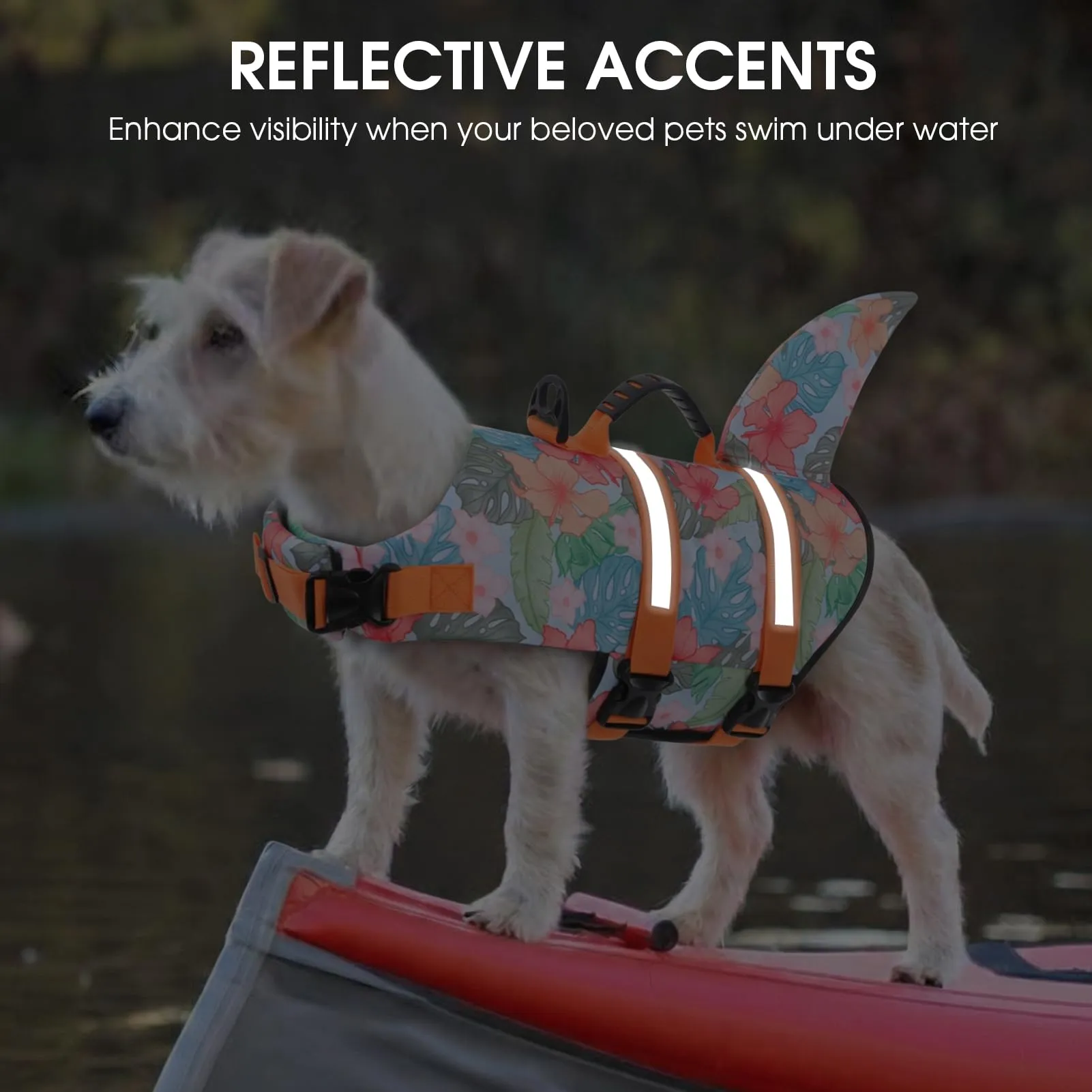 Queenmore Salvagente per Cane Regolabile, HawaiiOrange, XXL - immagine 7