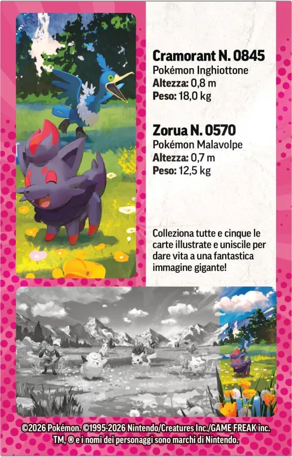Pokémon GCC Miniscatola da Collezione Espansione Megaevoluzione - Ascesa Eroica (Zorua e Cramorant) - immagine 5