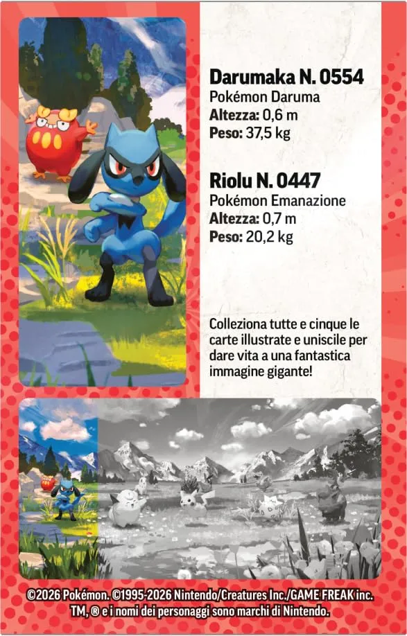 Pokémon GCC Miniscatola da Collezione Espansione Megaevoluzione - Ascesa Eroica (Riolu e Darumaka) - immagine 5
