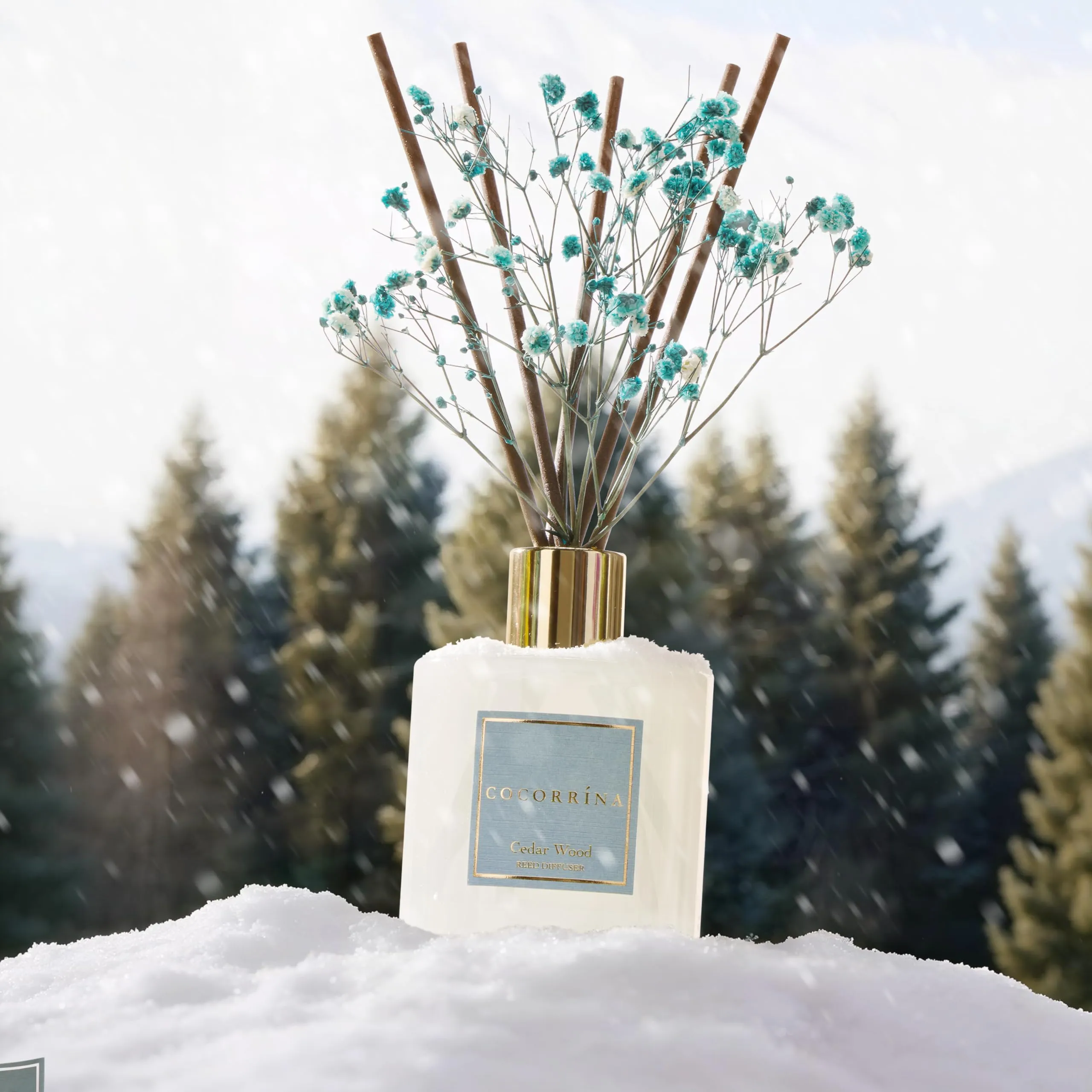 COCORRÍNA Diffusore Profumo Ambiente Cedar Wood, 200ml - immagine 5