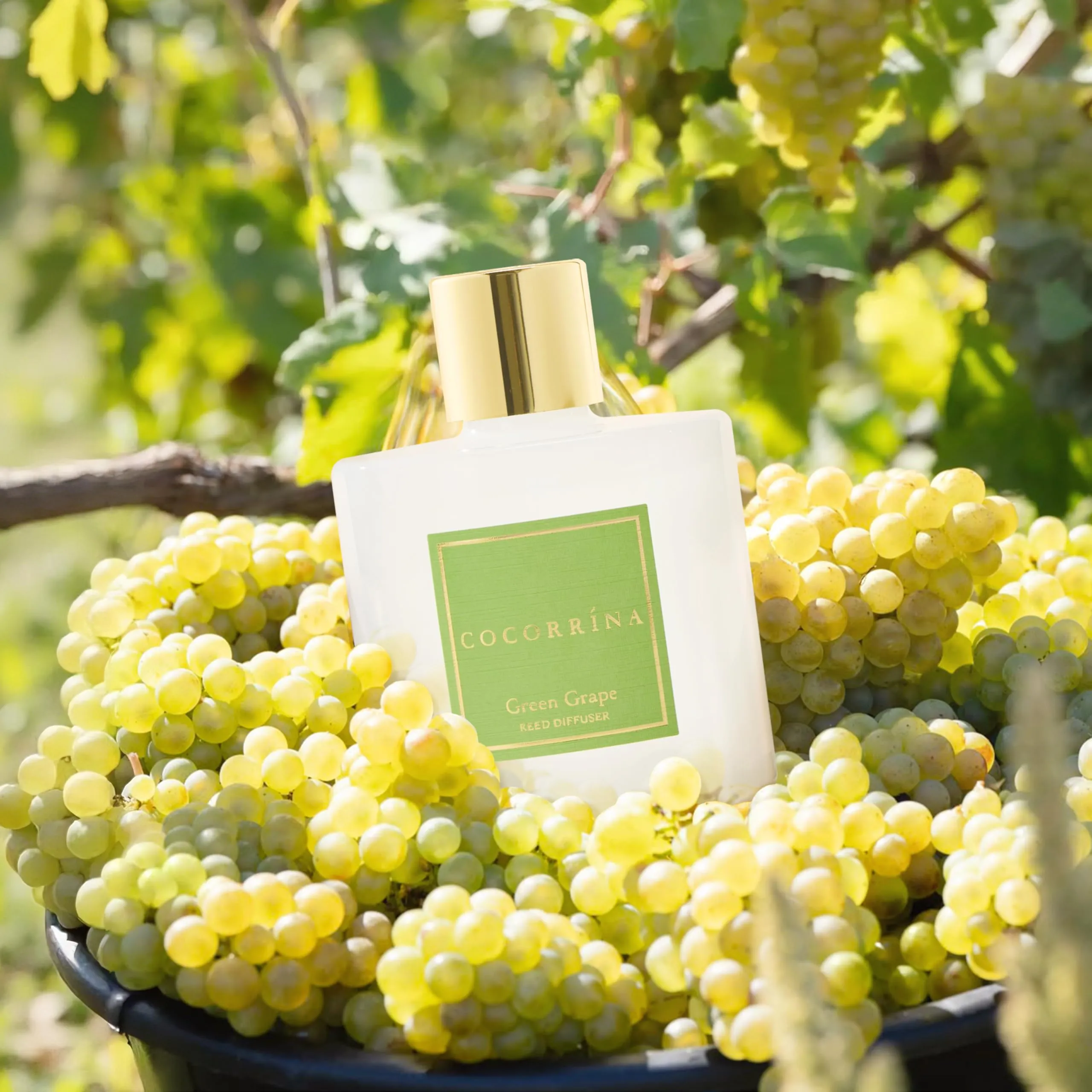 COCORRÍNA Diffusore Profumato Green Grape, 200ml con Bastoncini - immagine 4