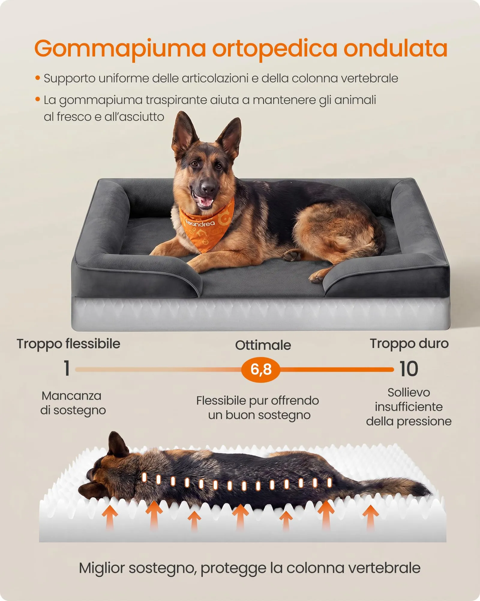 Feandrea Cuccia Ortopedica per Cani in Flanella, 122 x 85 x 17 cm - immagine 3
