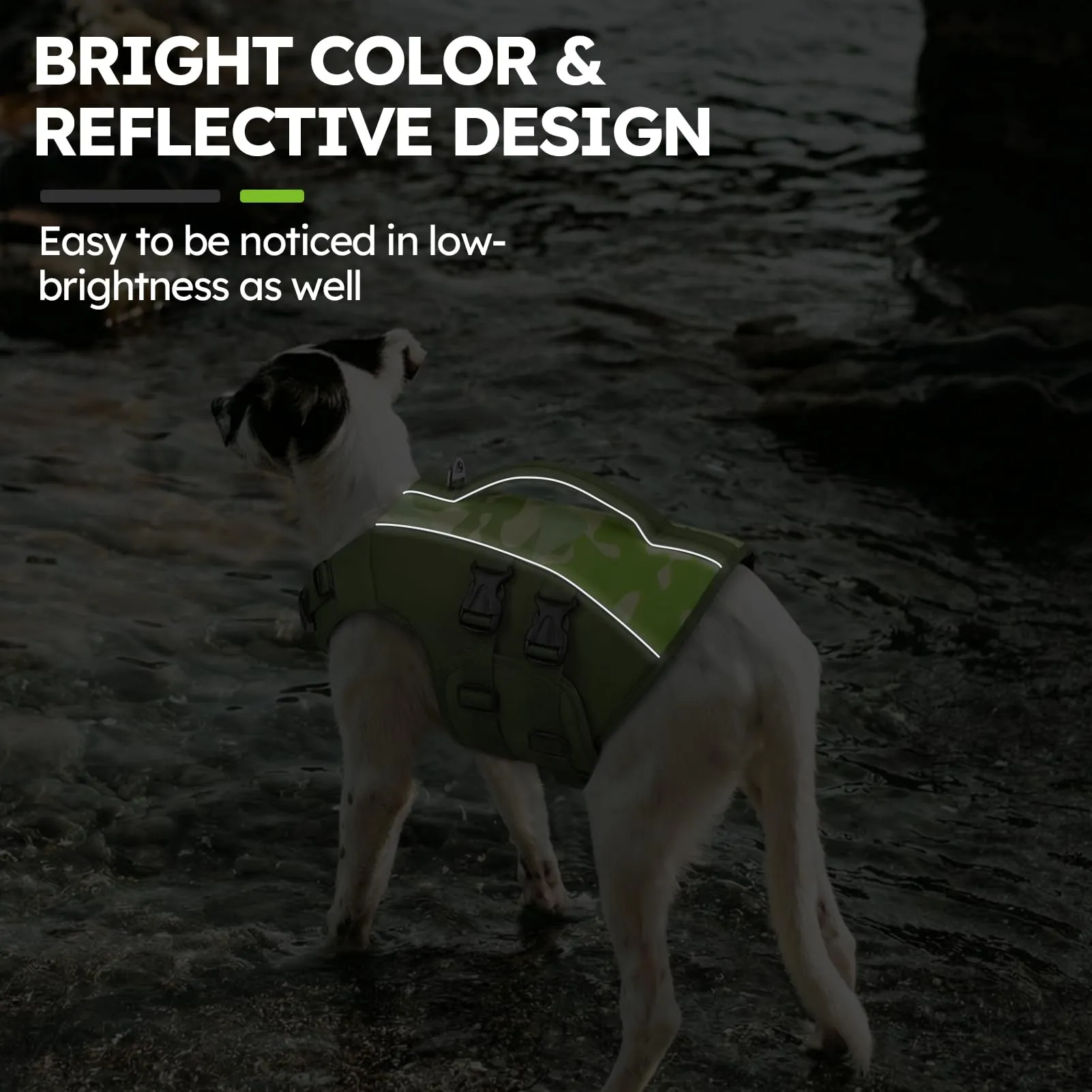 Queenmore Salvagente per Cani Taglia XXL, Verde-Camo - immagine 3