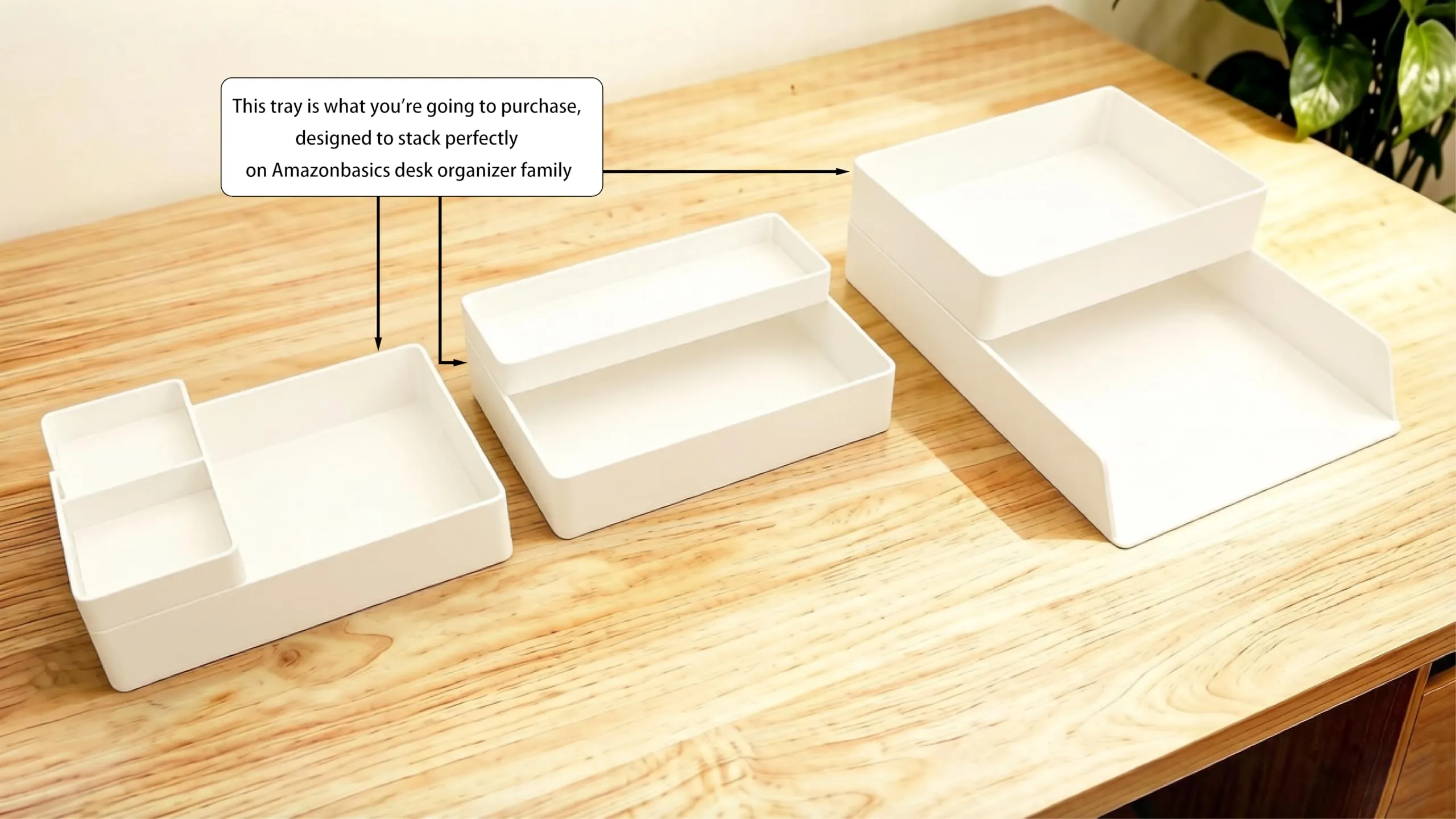 Amazon Basics Plastic Organizer Rettangolare, 24 x 17 x 5 cm, Bianco - immagine 5