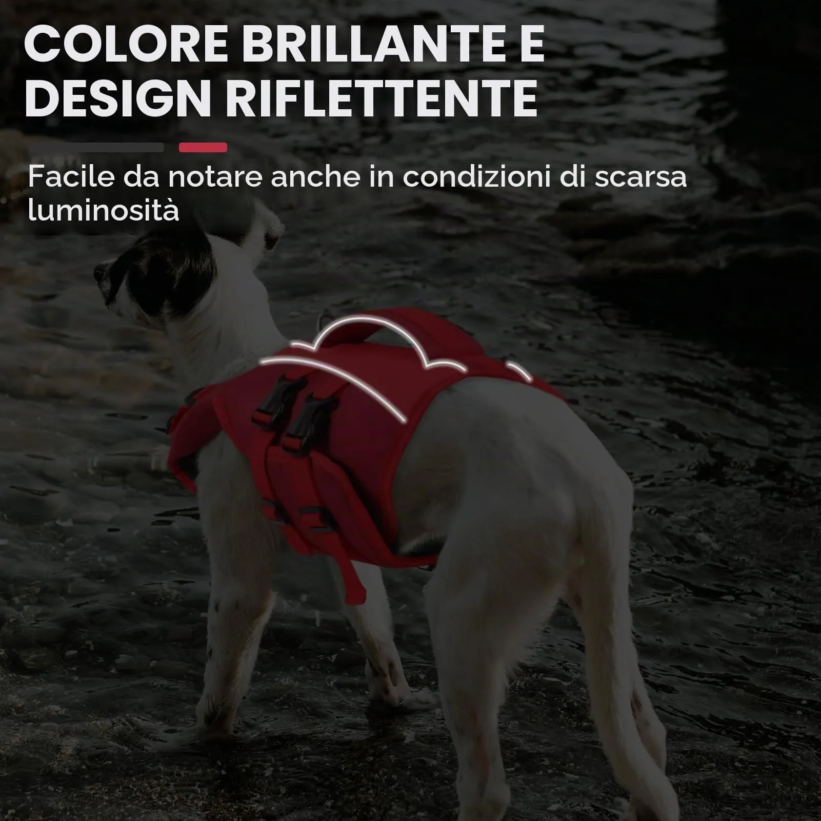 Queenmore Giubbotto Salvagente Cane, Rosso, Ripstop, Taglia L - immagine 3