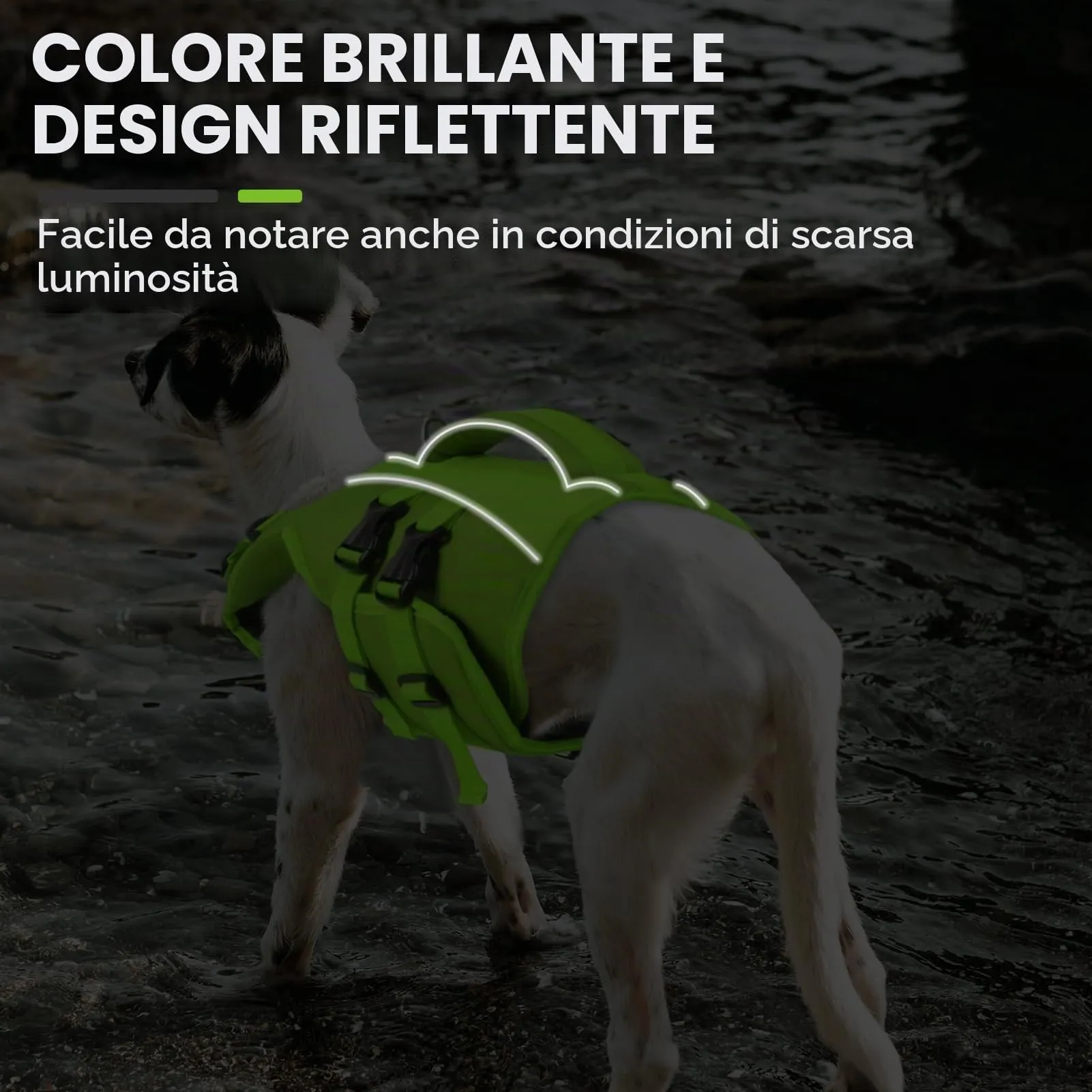 Queenmore Giubbotto Salvagente per Cani, XL, Verde, Ripstop con D-Ring - immagine 3