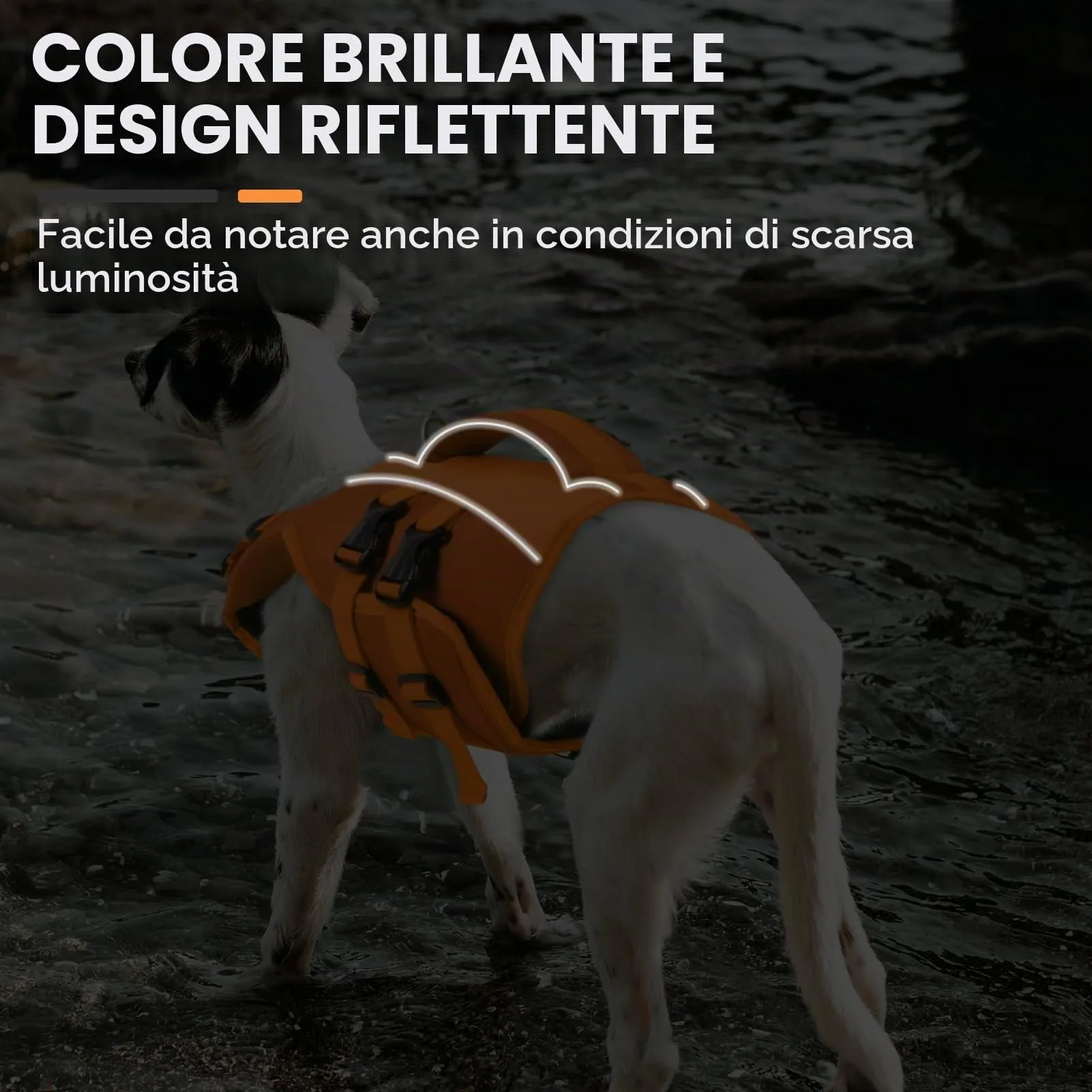 Queenmore Giubbotto Salvagente per Cani, Taglia XL, Arancione, Ripstop con D-Ring - immagine 3